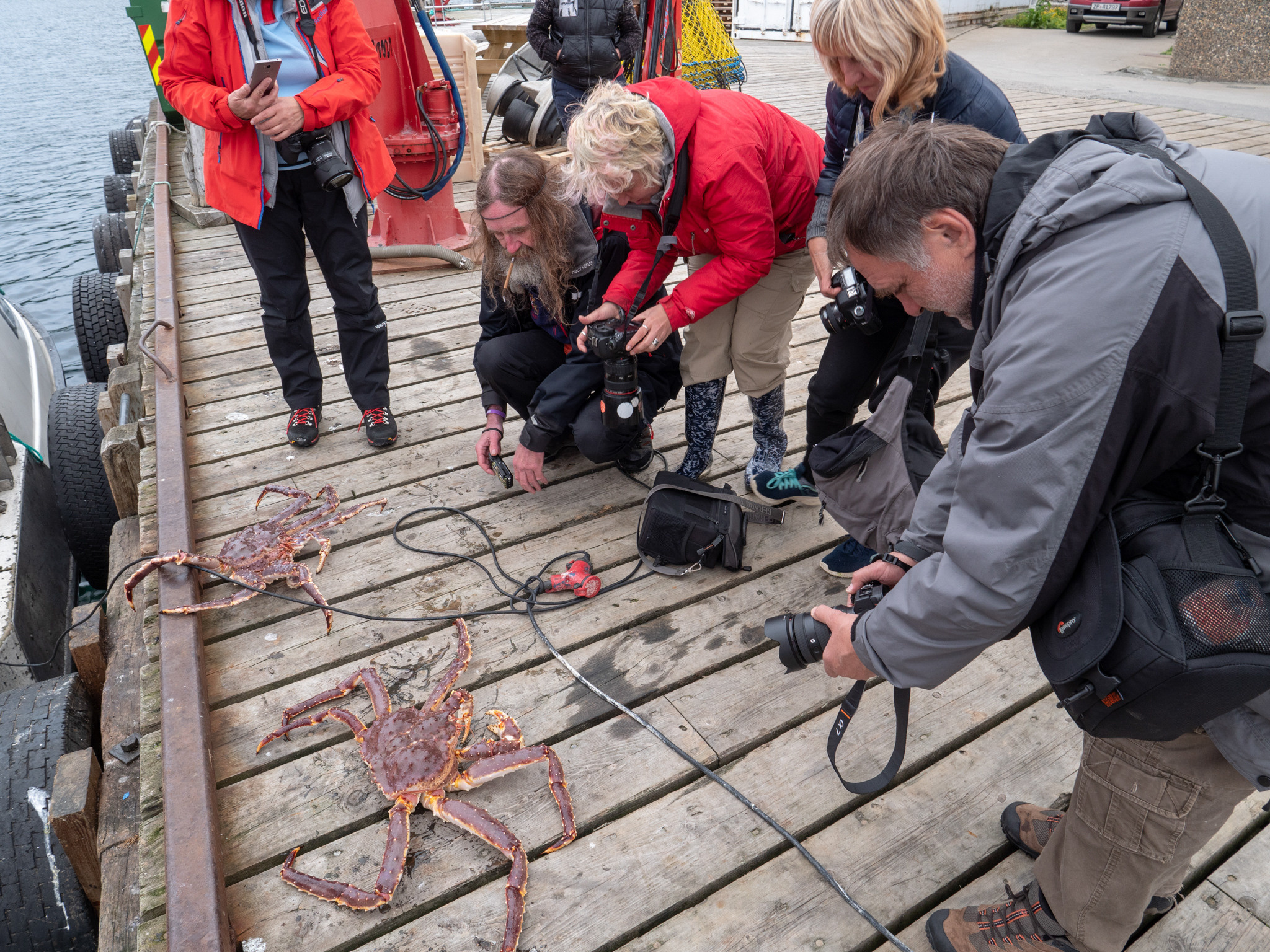 Норвегия. «dbstudio» — фотосъемка еды и продуктов питания