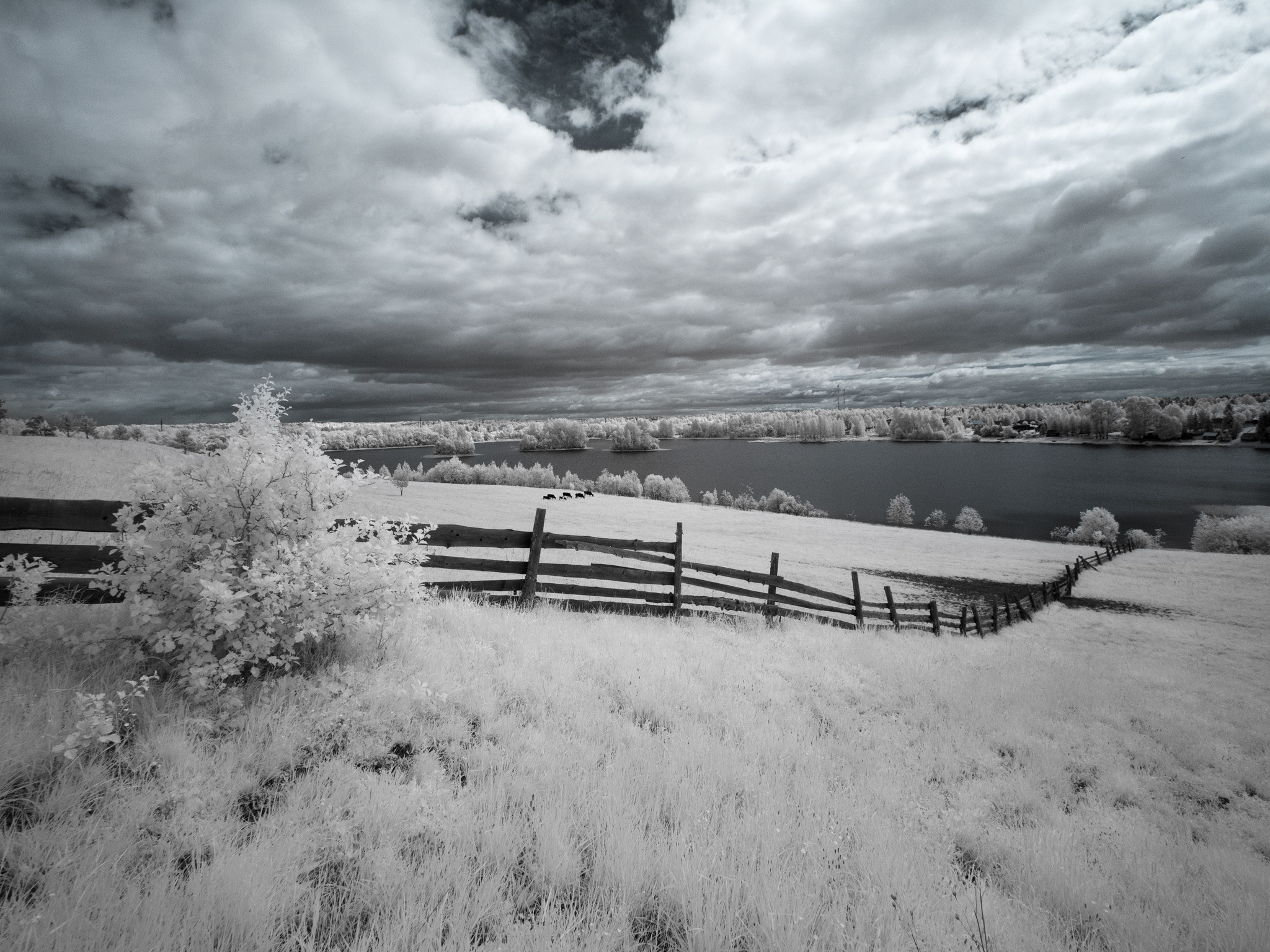 Ферапонтово