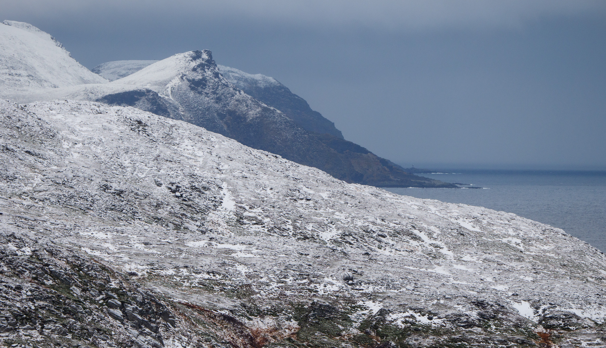 Норвегия. «dbstudio» — фотосъемка еды и продуктов питания