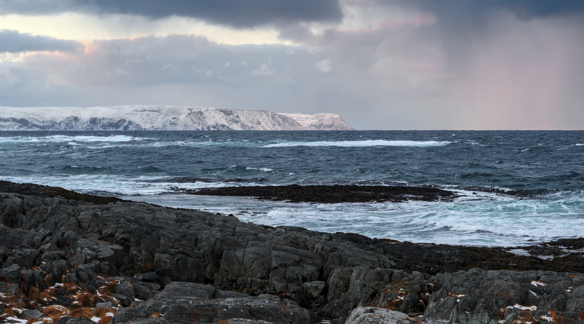 Норвегия. «dbstudio» — фотосъемка еды и продуктов питания