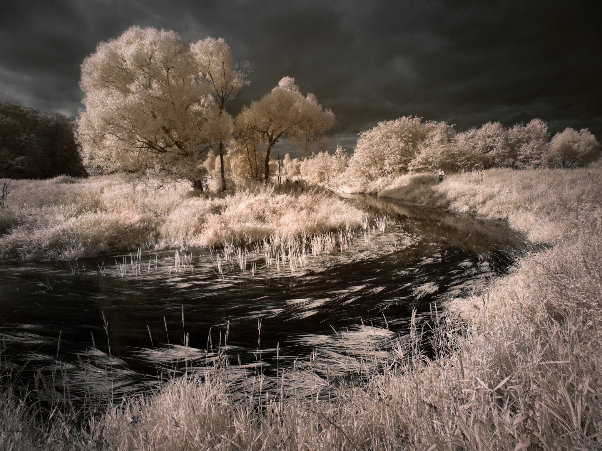 р. Воря, Радонеж