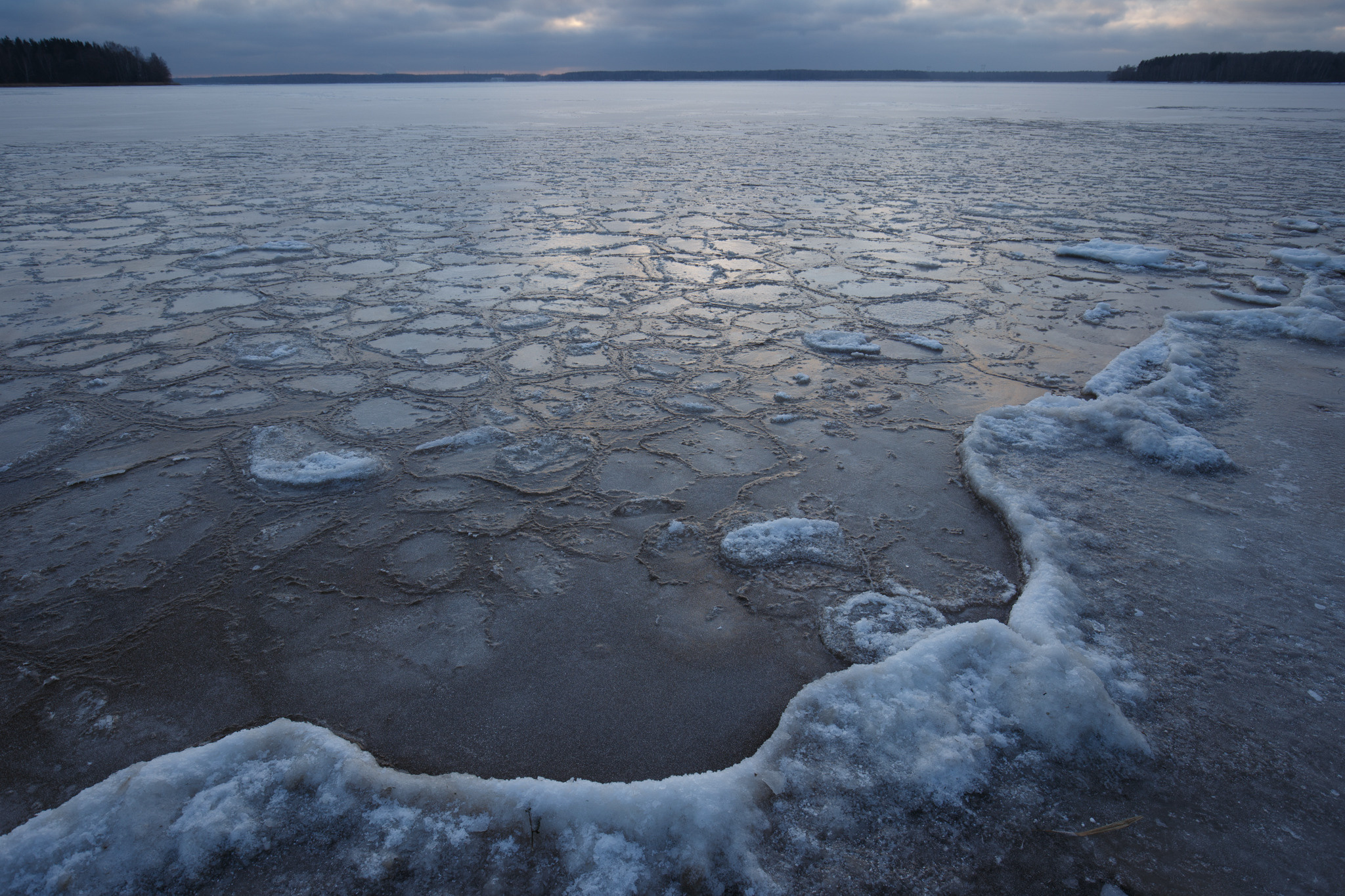 Пушкино, запретка