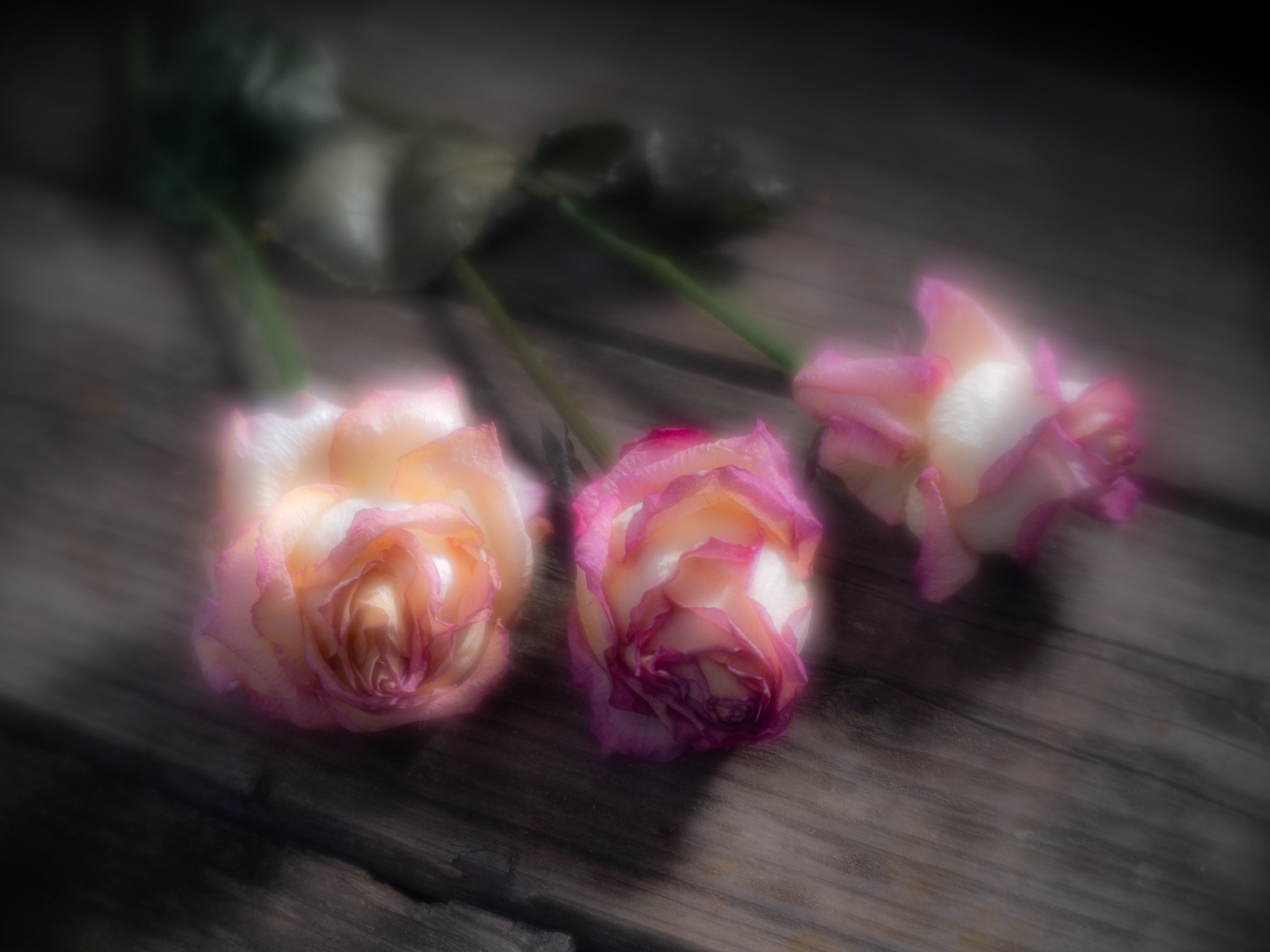 Натюрморт (наблюдашки))). «dbstudio» — фотосъемка еды и продуктов питания