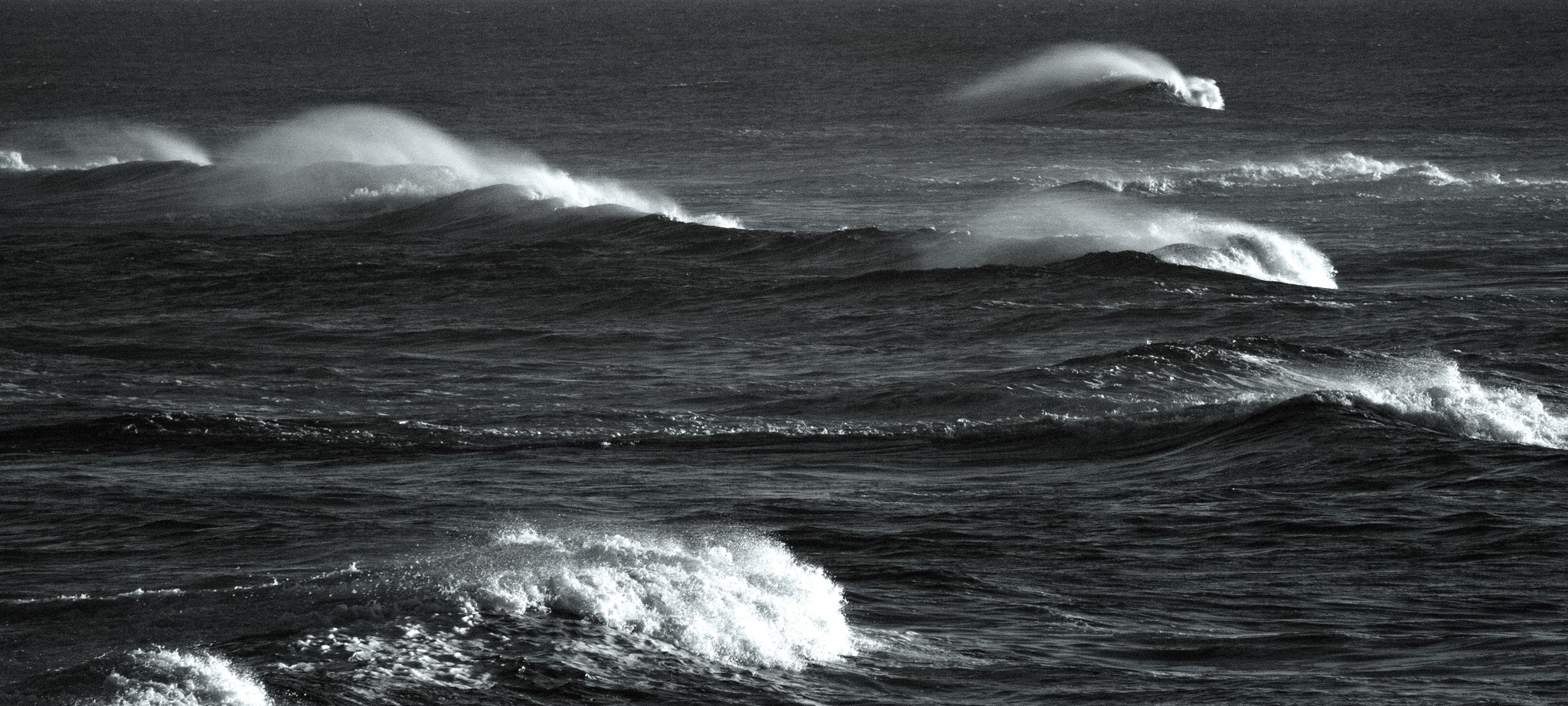 Норвегия. «dbstudio» — фотосъемка еды и продуктов питания