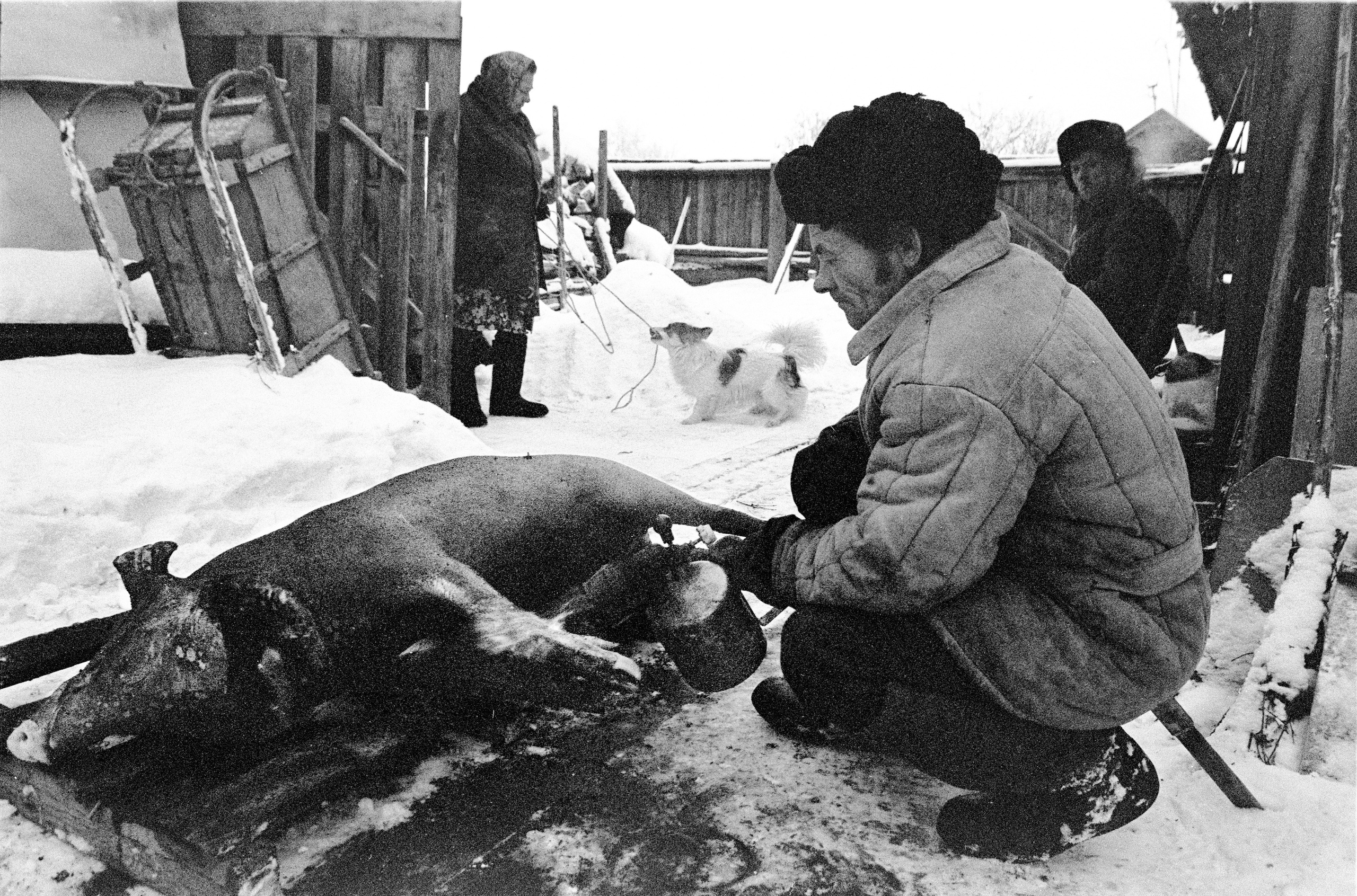 Великий Устюг