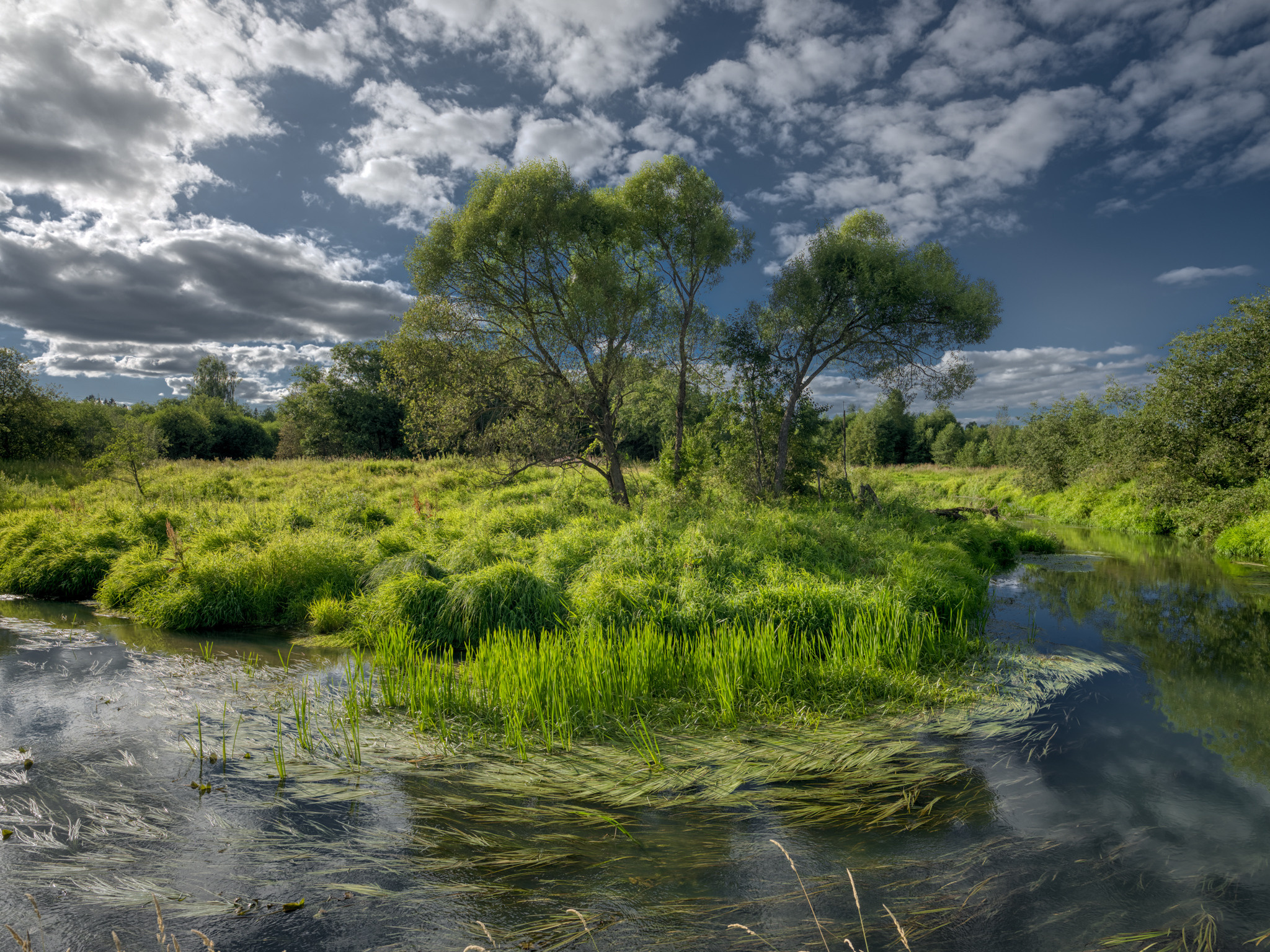 Радонеж, р. Воря