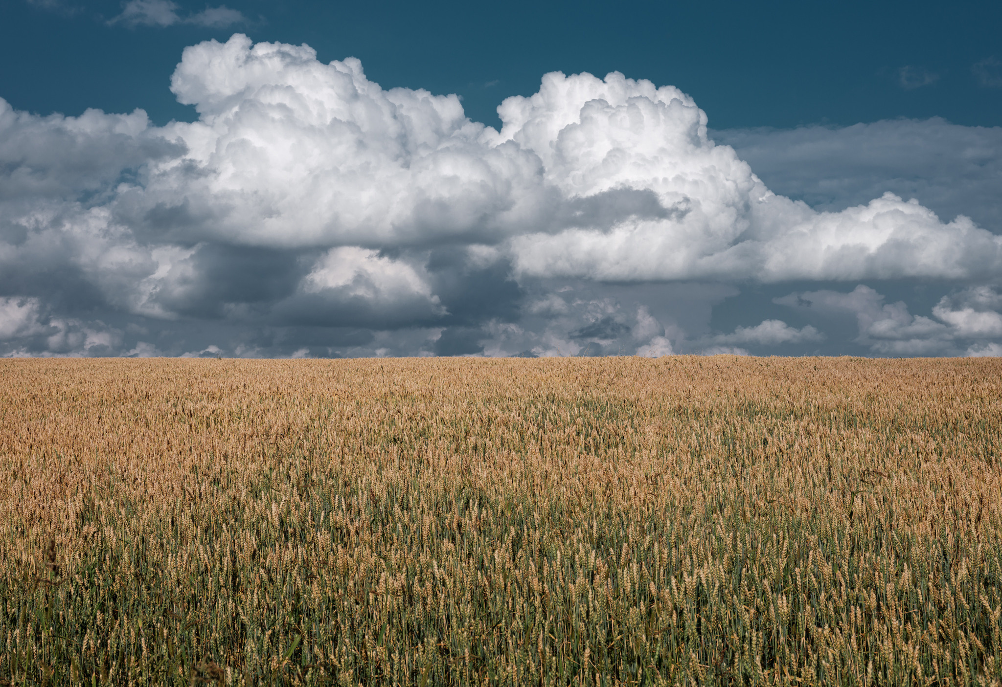 Спасское Лутовиново