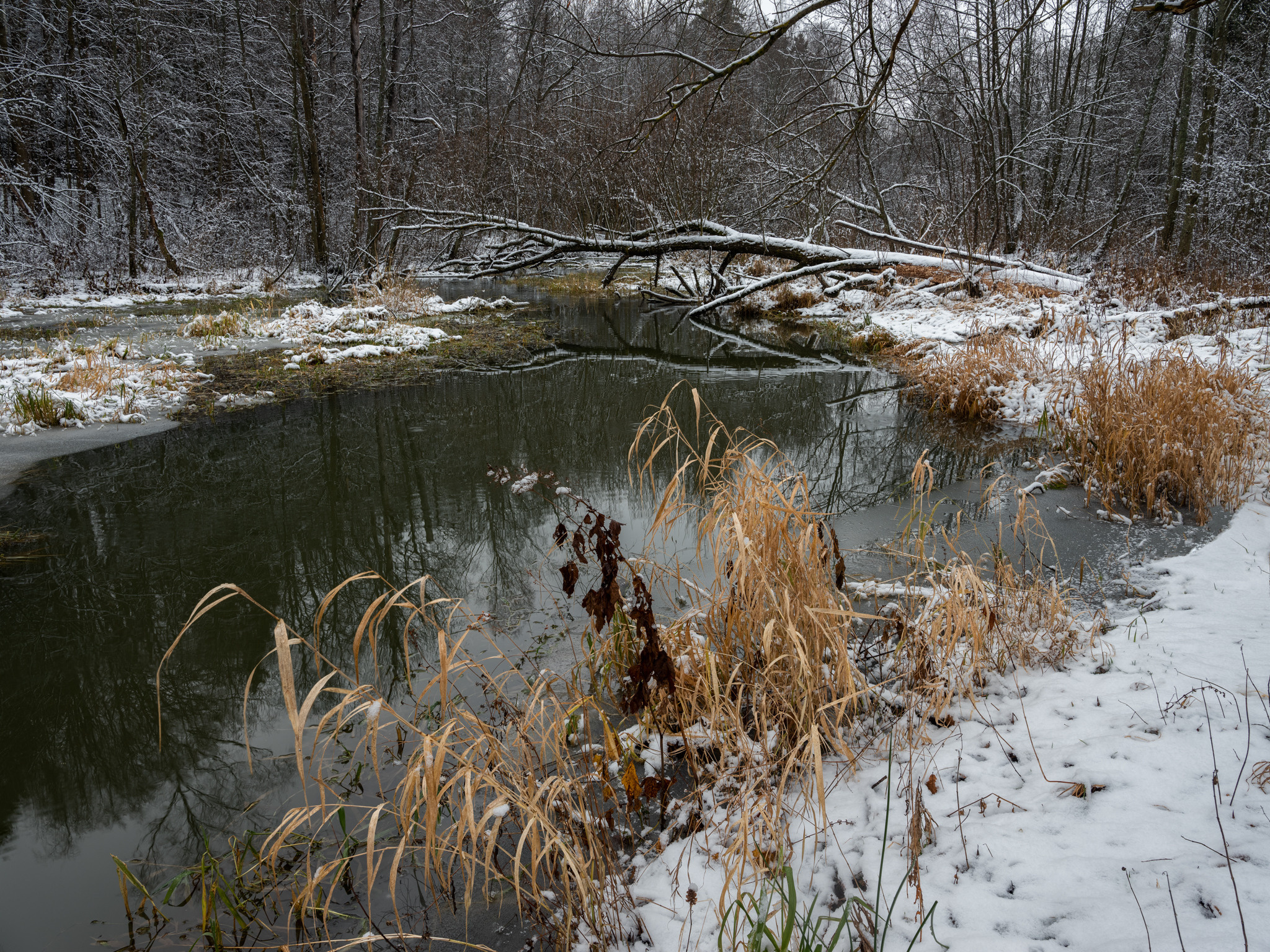 Левково, р. Скалба