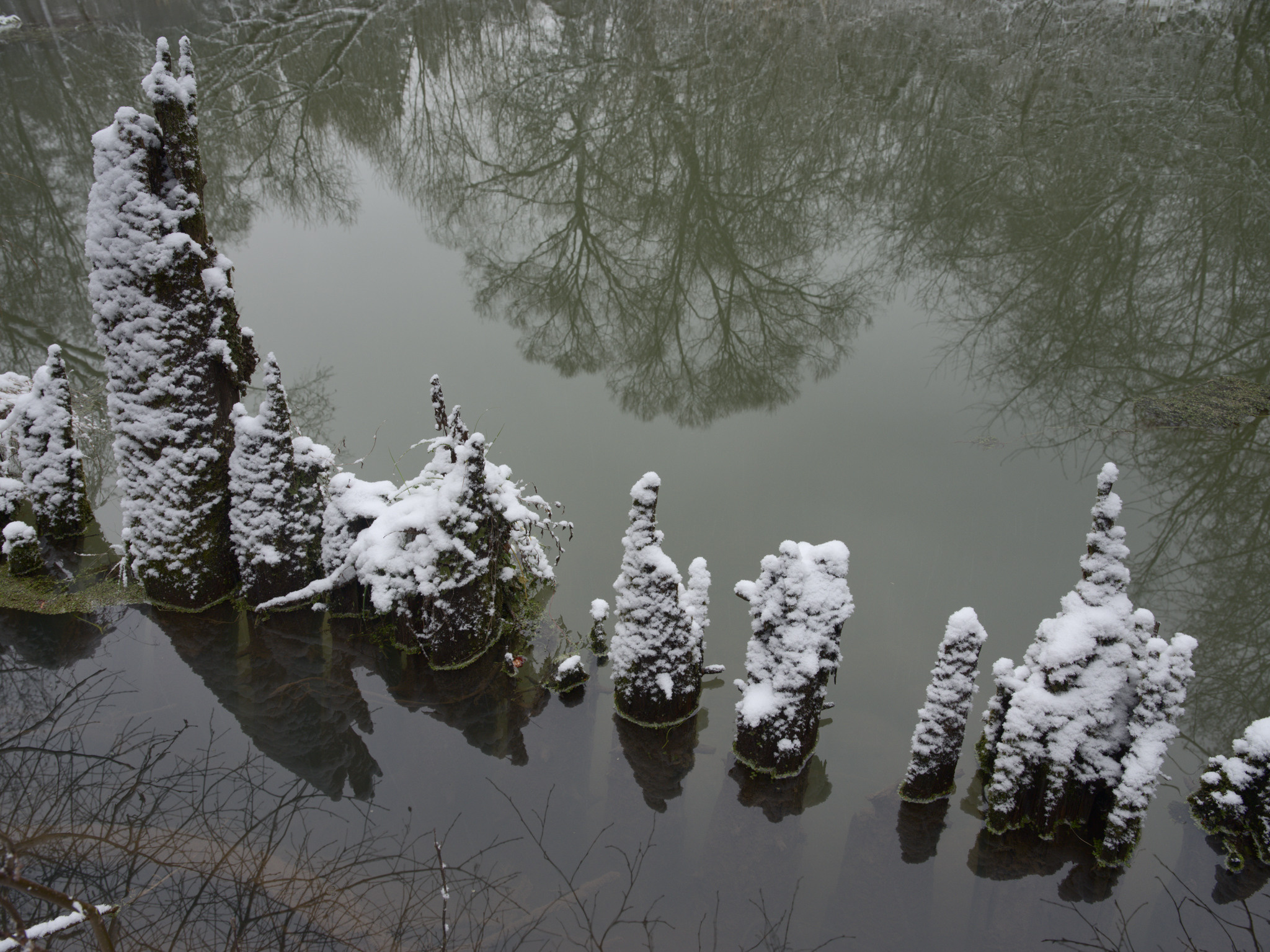 р. Воря, Радонеж