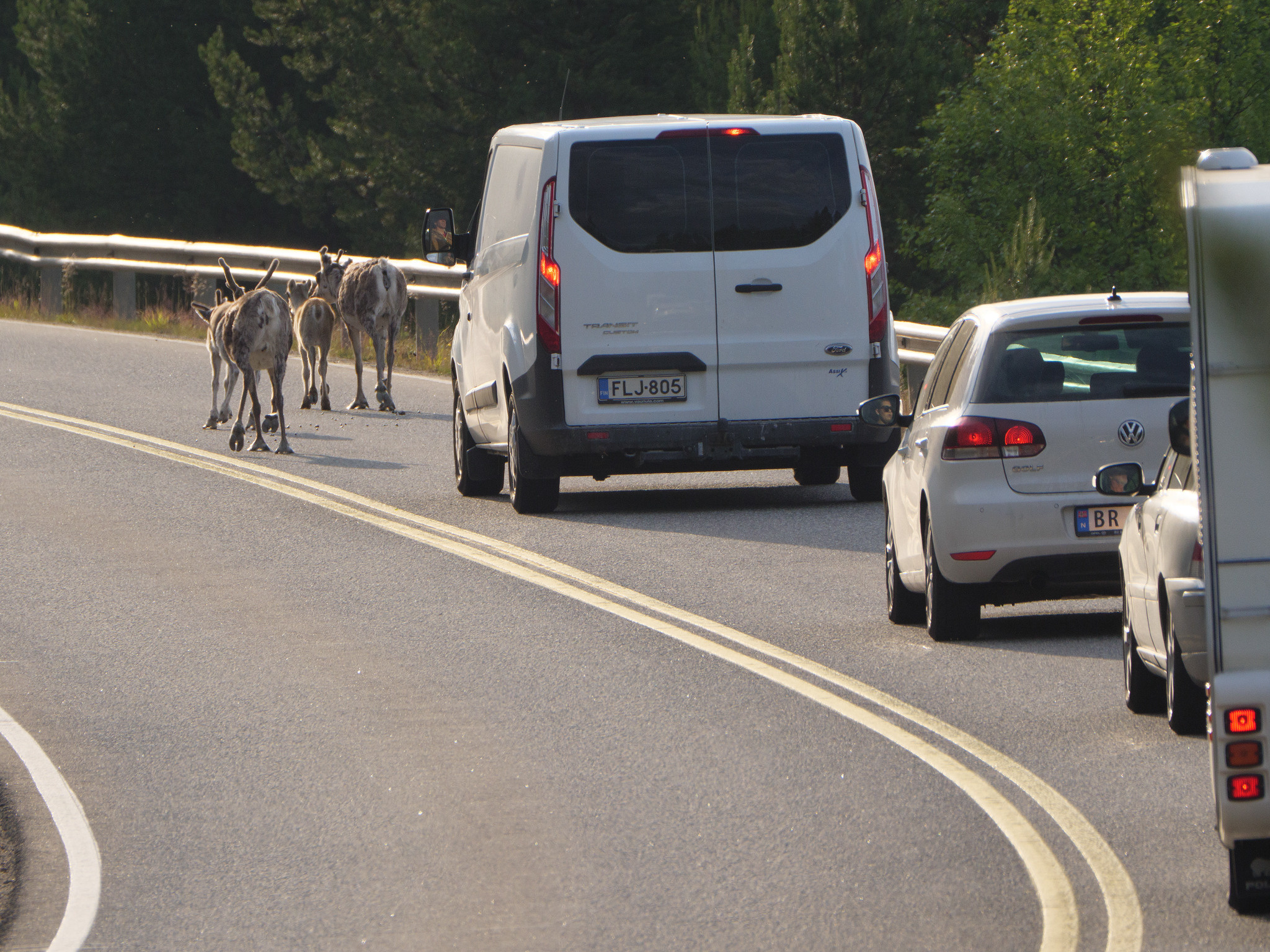 Норвегия. «dbstudio» — фотосъемка еды и продуктов питания