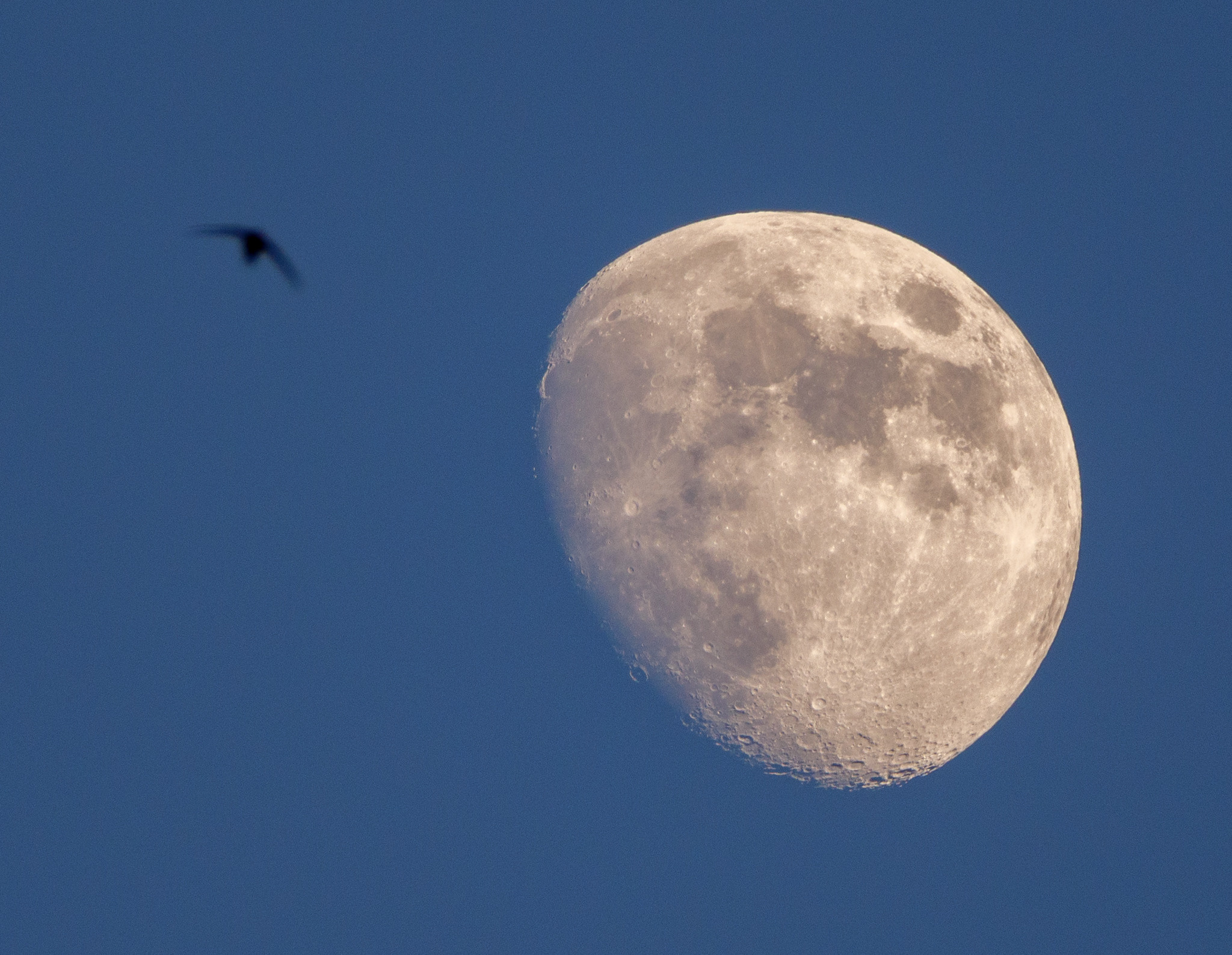 Пейзаж, природа. «dbstudio» — фотосъемка еды и продуктов питания