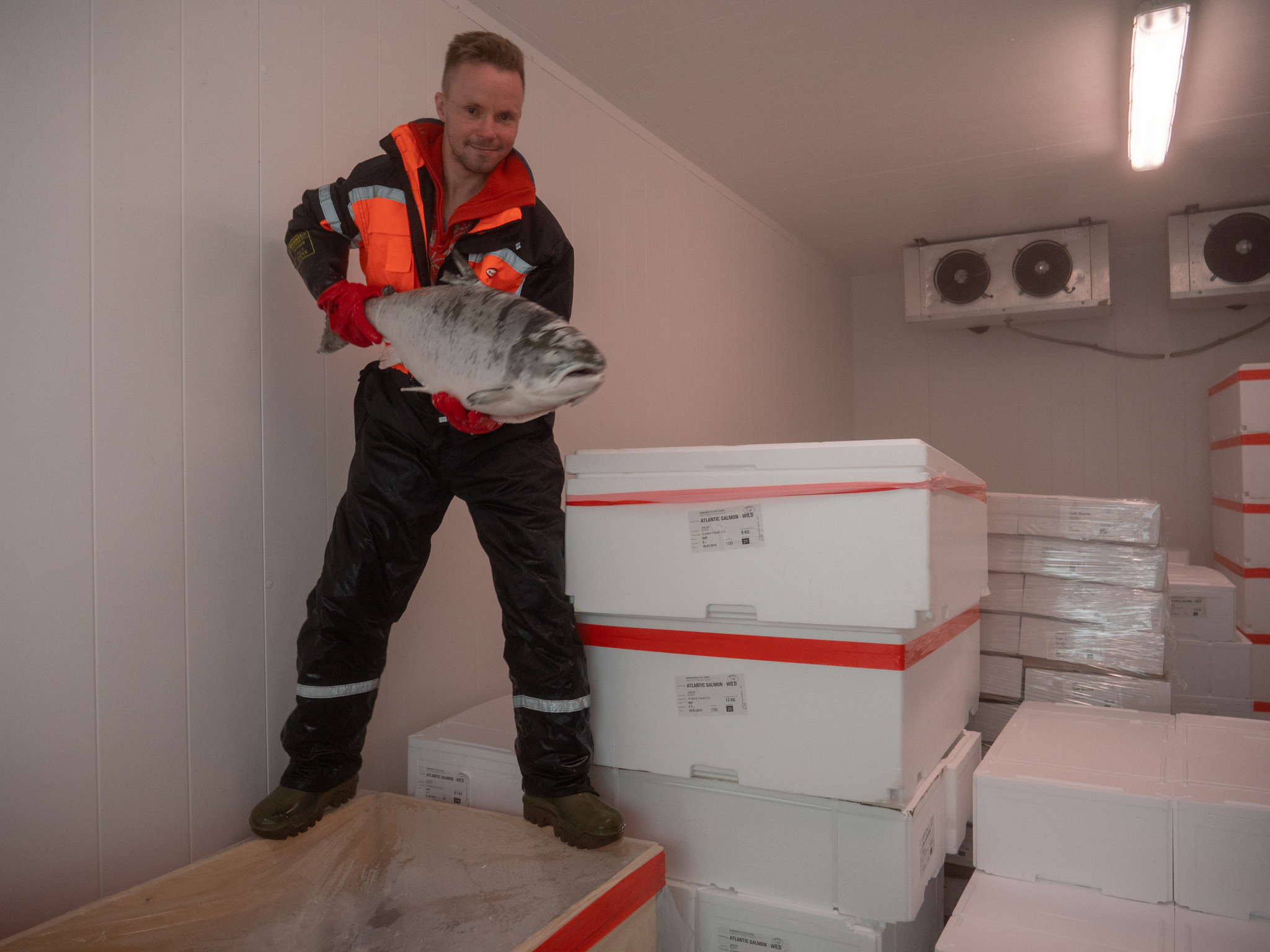 Норвегия. «dbstudio» — фотосъемка еды и продуктов питания