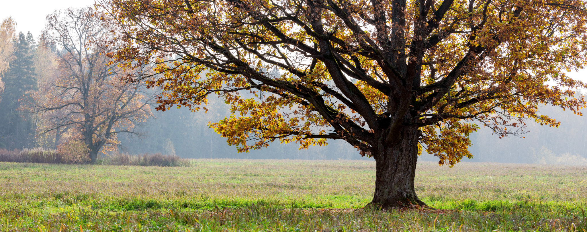 Красноармейск