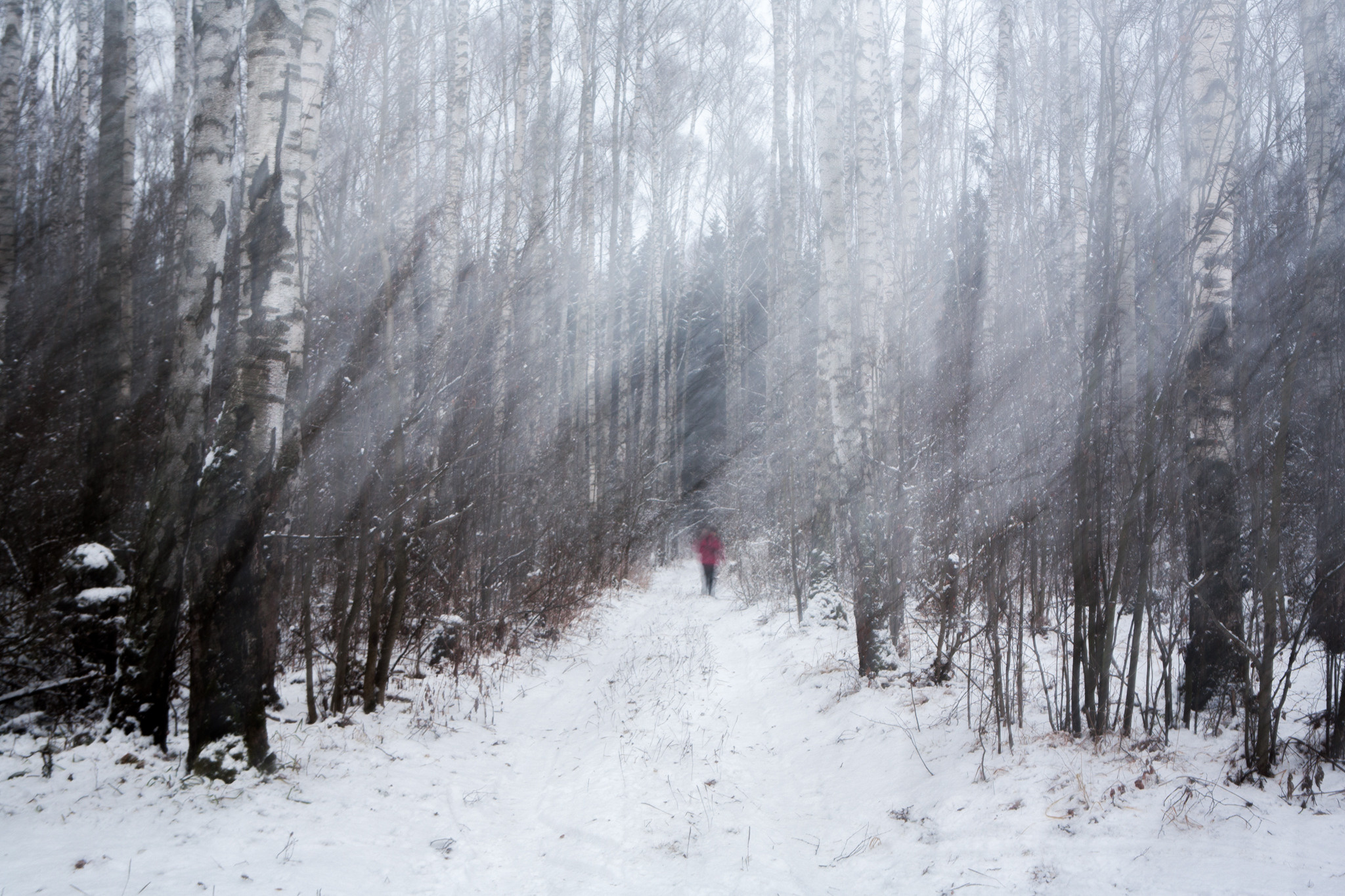 из серии "Ветренные"