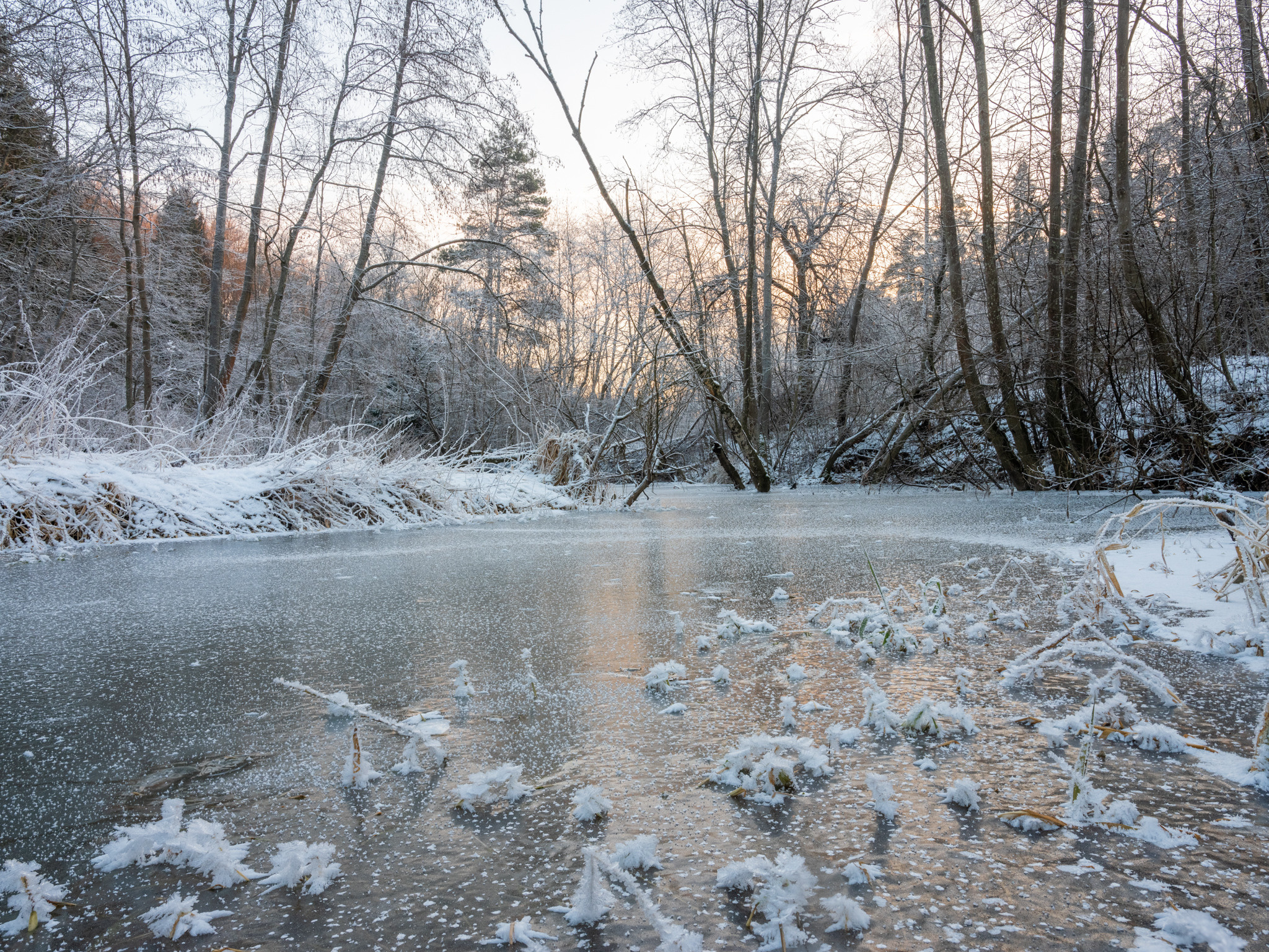 Левково, р. Скалба