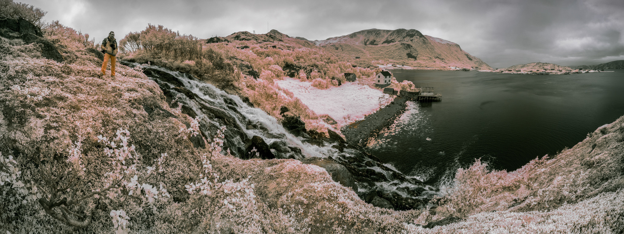 Норвегия. «dbstudio» — фотосъемка еды и продуктов питания