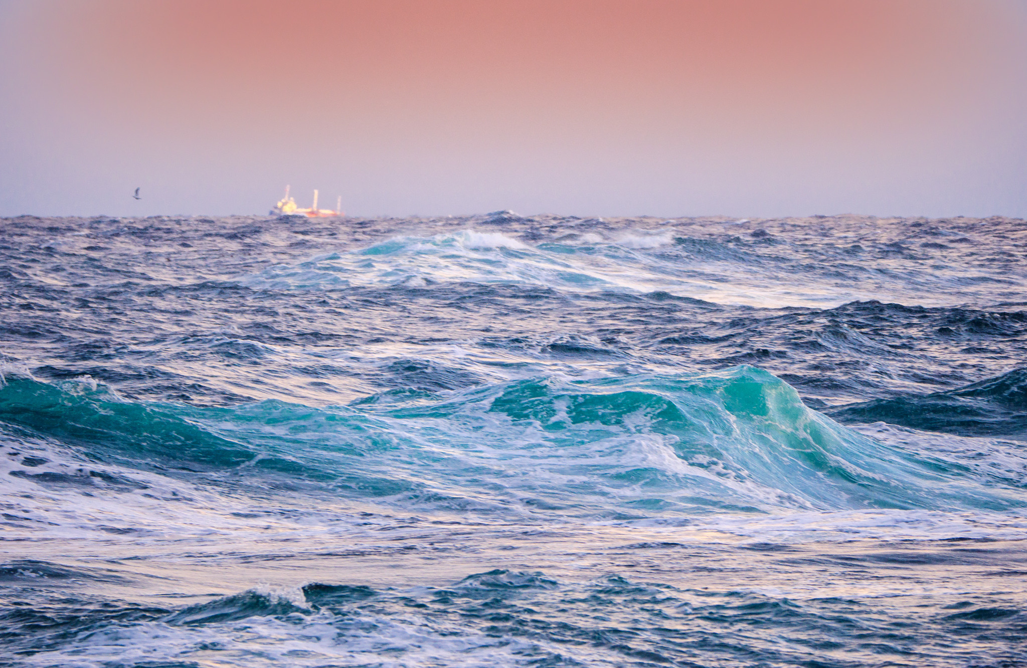 Норвегия. «dbstudio» — фотосъемка еды и продуктов питания