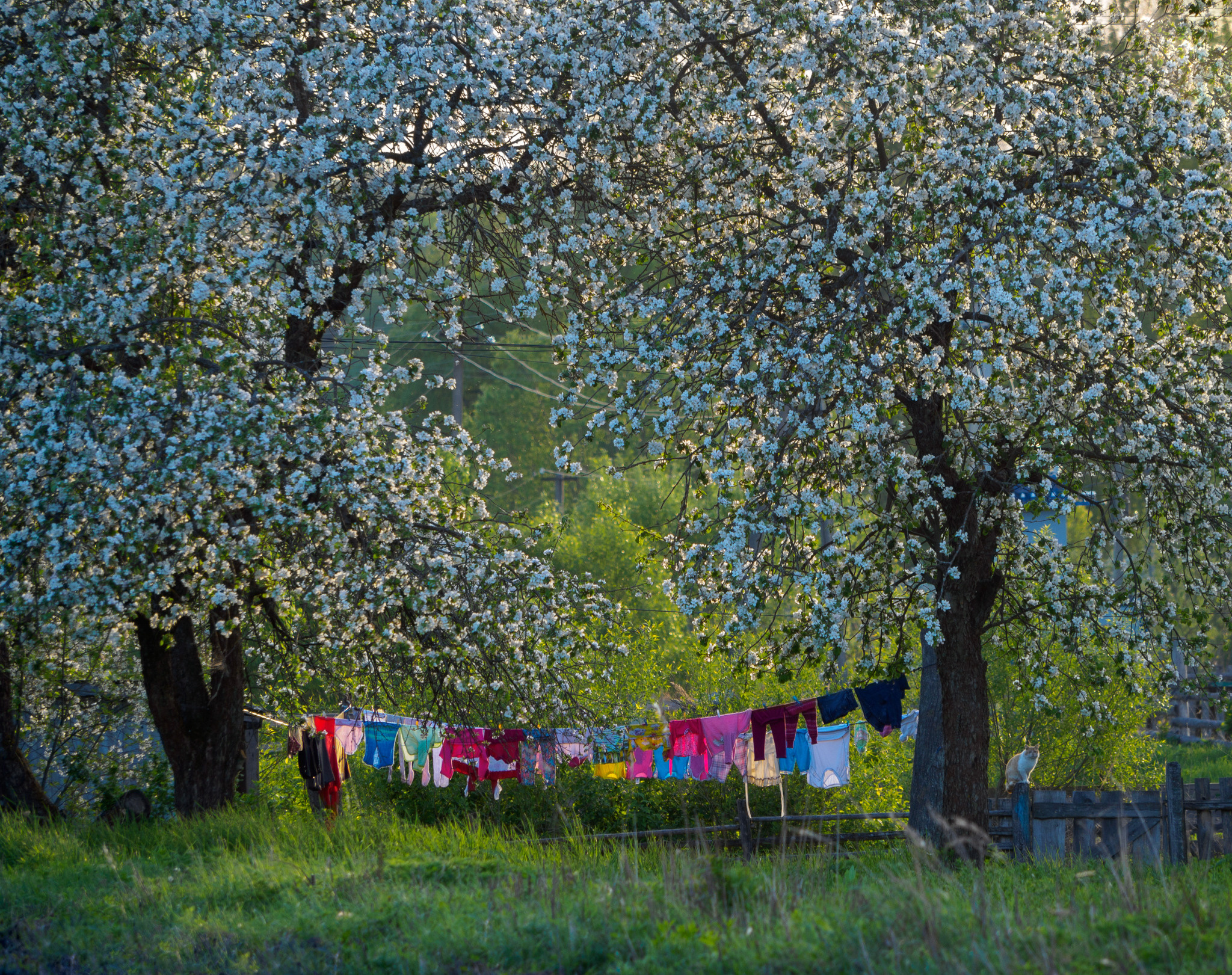 Орловское Полесье