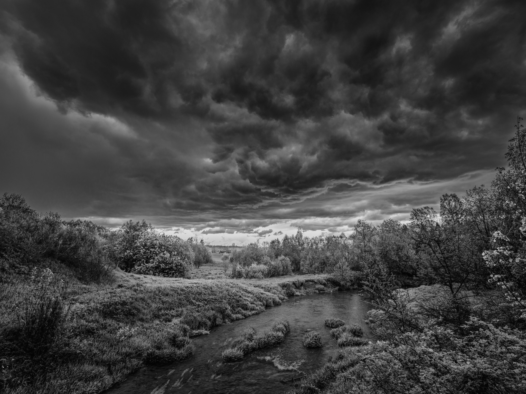 Радонеж, р. Воря