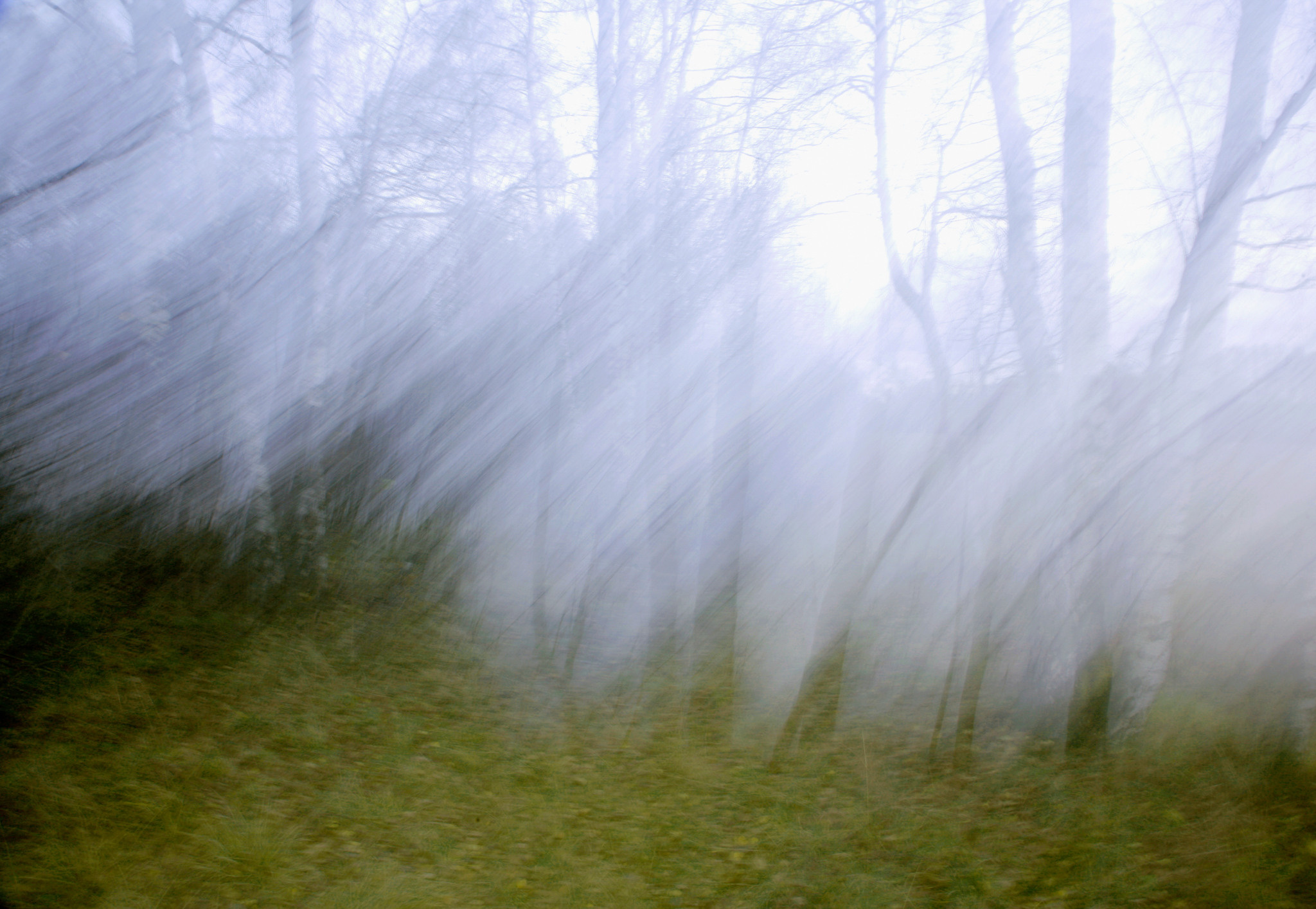 из серии "Ветренные"