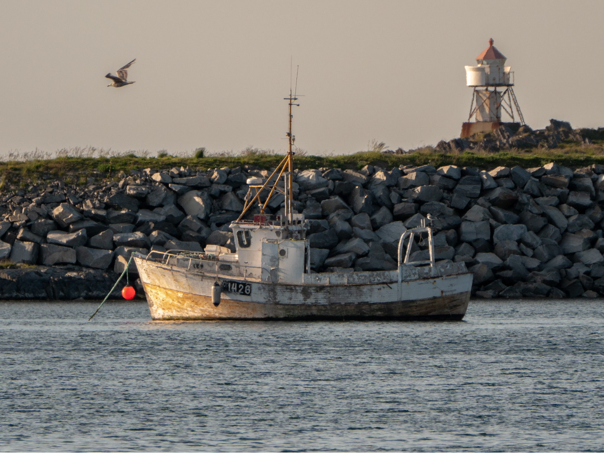 Норвегия. «dbstudio» — фотосъемка еды и продуктов питания