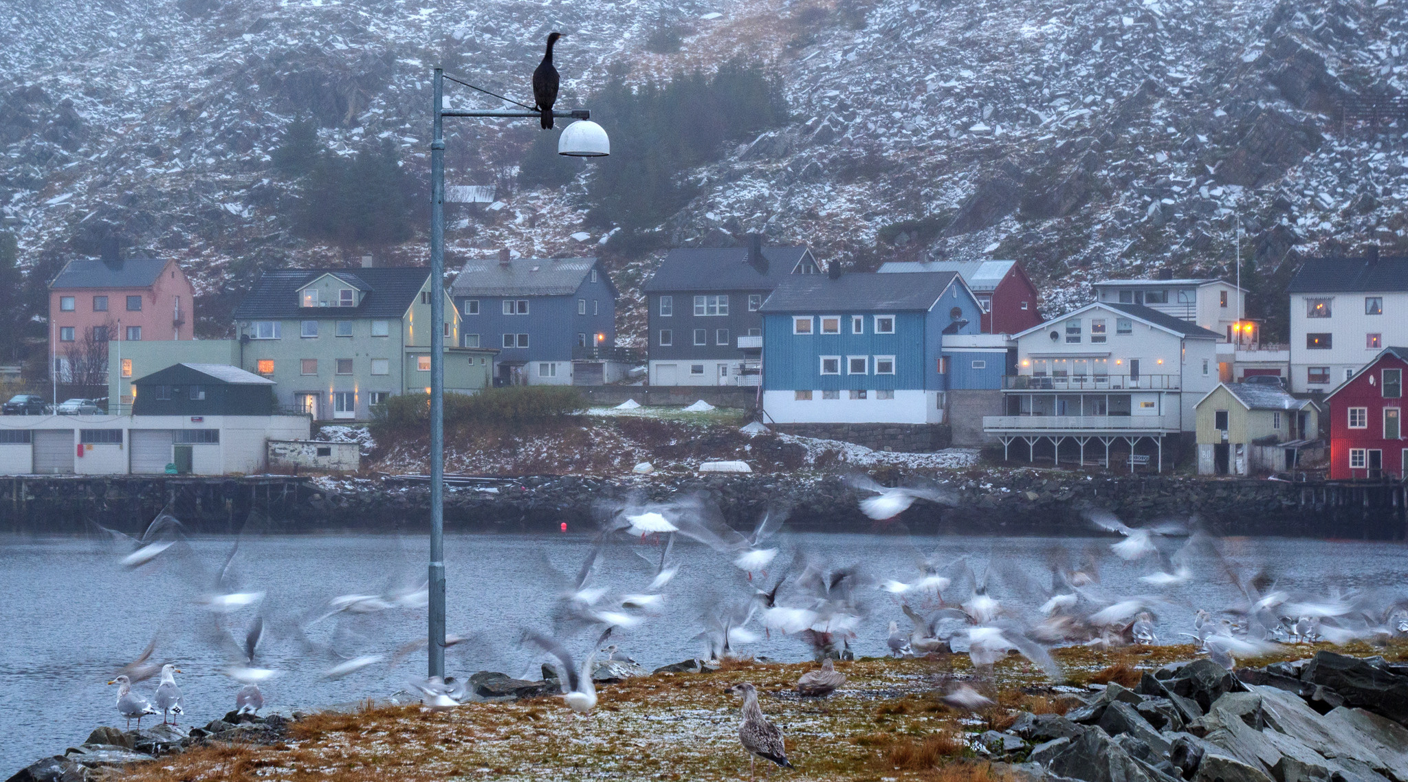 Норвегия. «dbstudio» — фотосъемка еды и продуктов питания