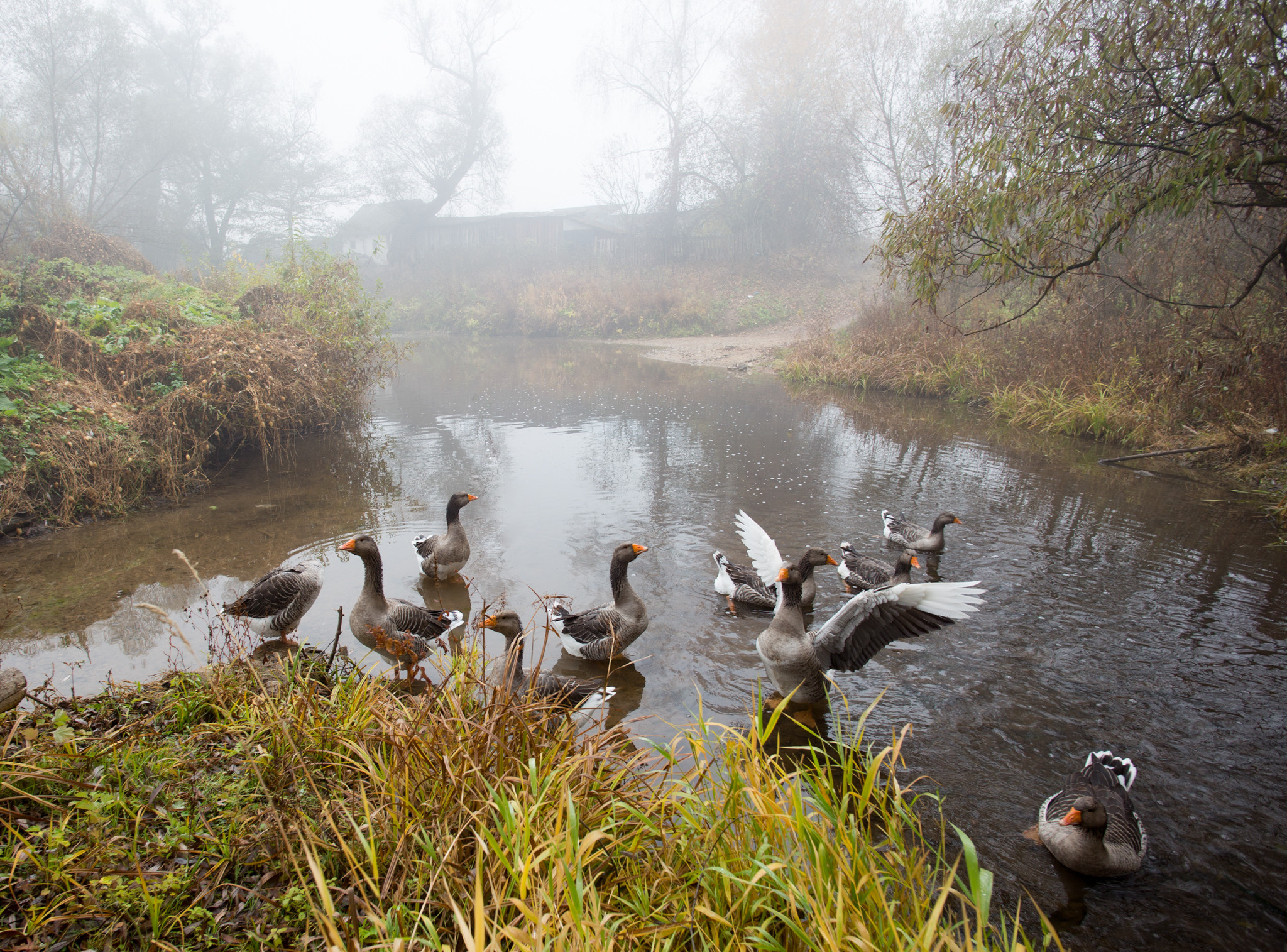 Страхово Тульская обл.