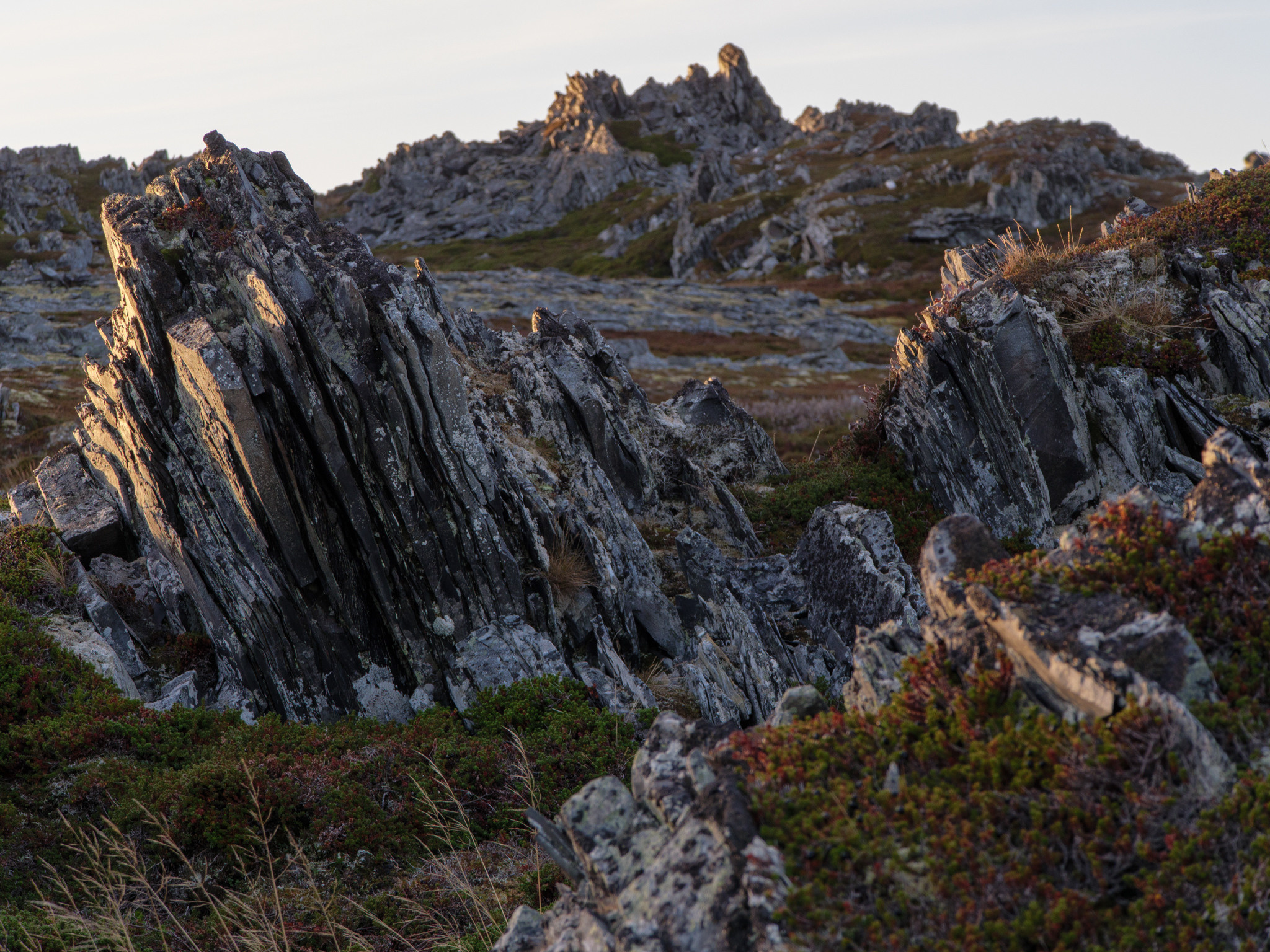 Норвегия. «dbstudio» — фотосъемка еды и продуктов питания