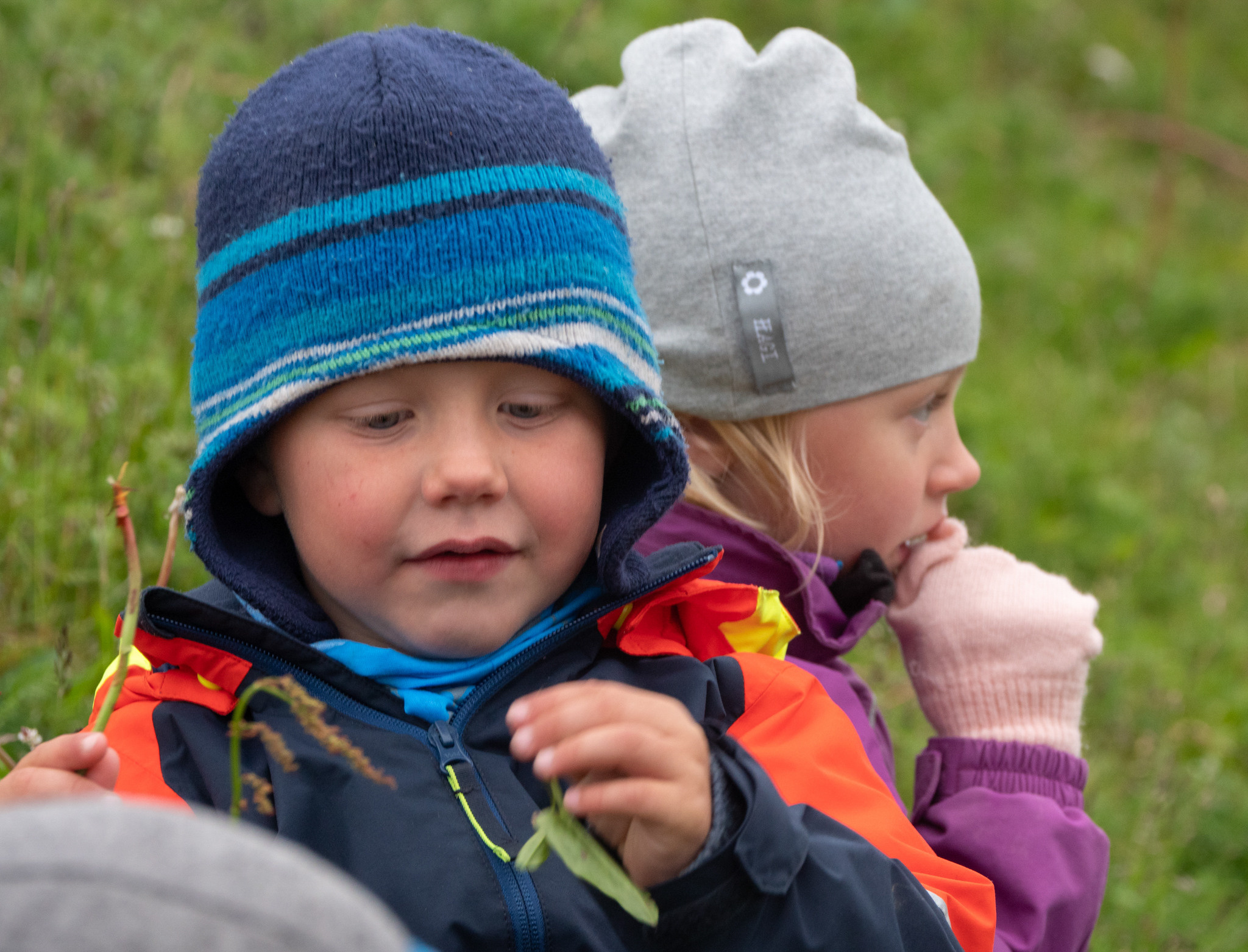 Норвегия. «dbstudio» — фотосъемка еды и продуктов питания