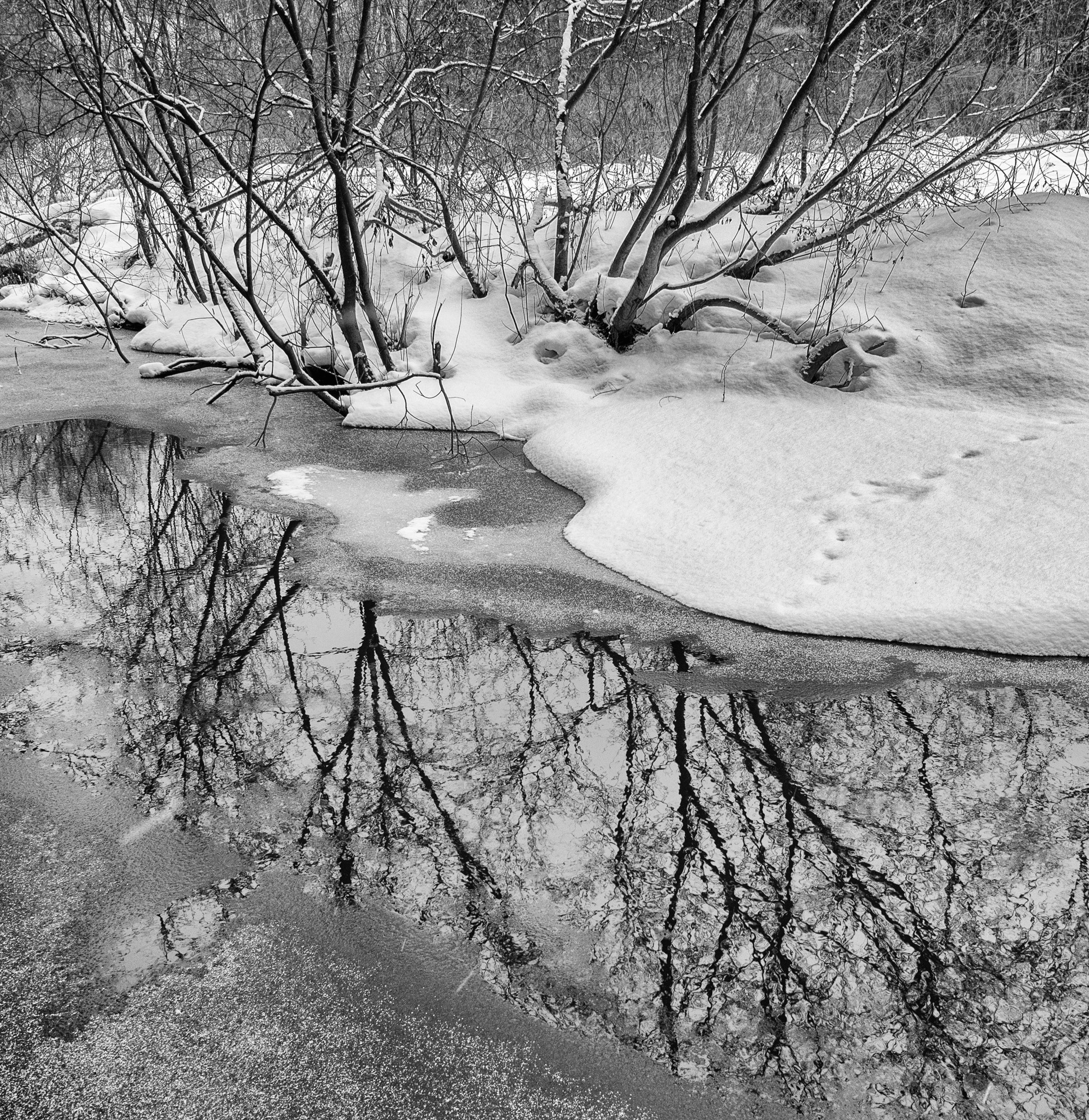 Левково, р. Скалба