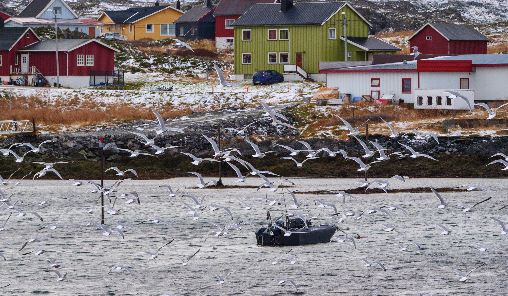 Норвегия. «dbstudio» — фотосъемка еды и продуктов питания