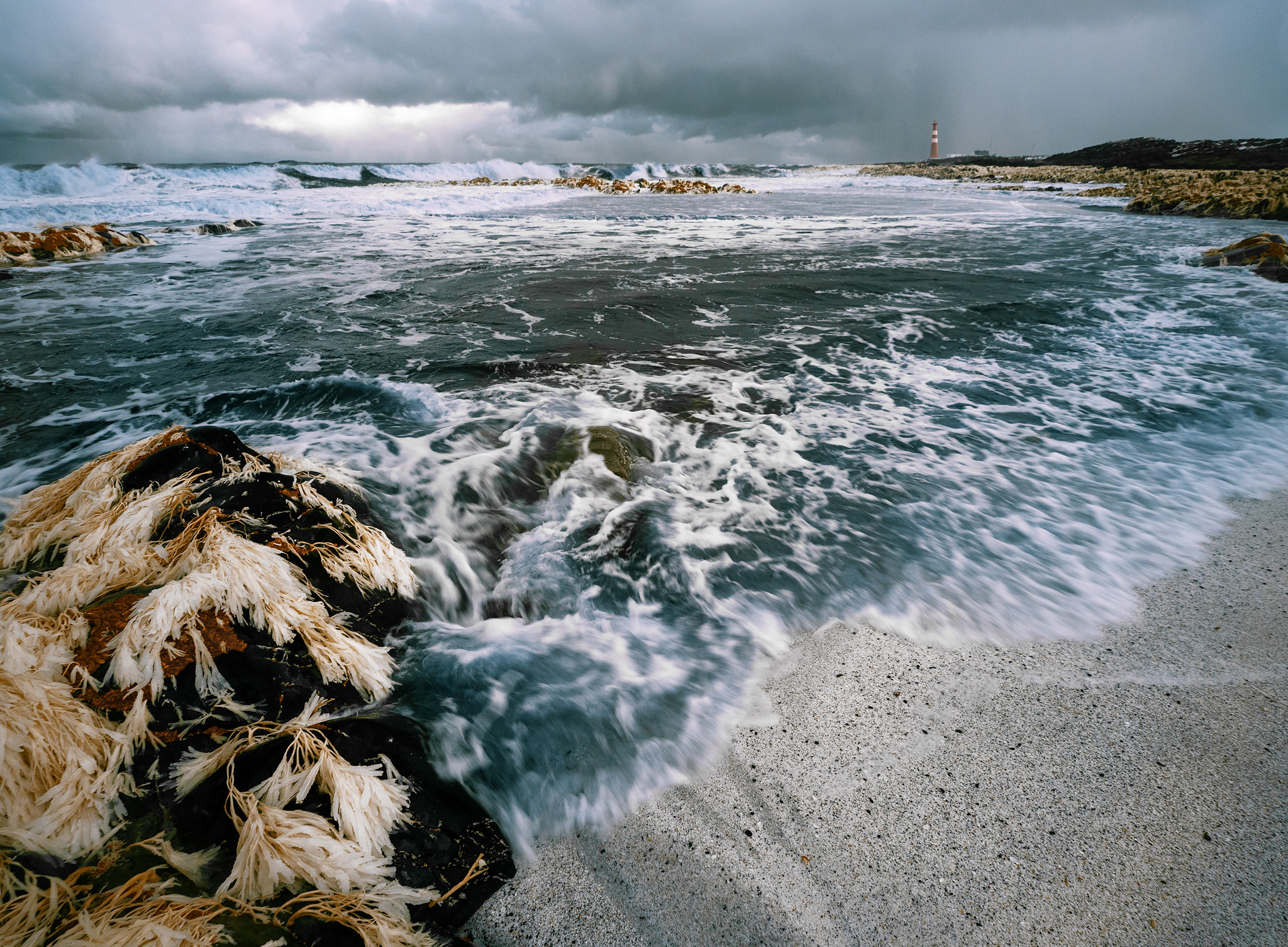 Норвегия. «dbstudio» — фотосъемка еды и продуктов питания