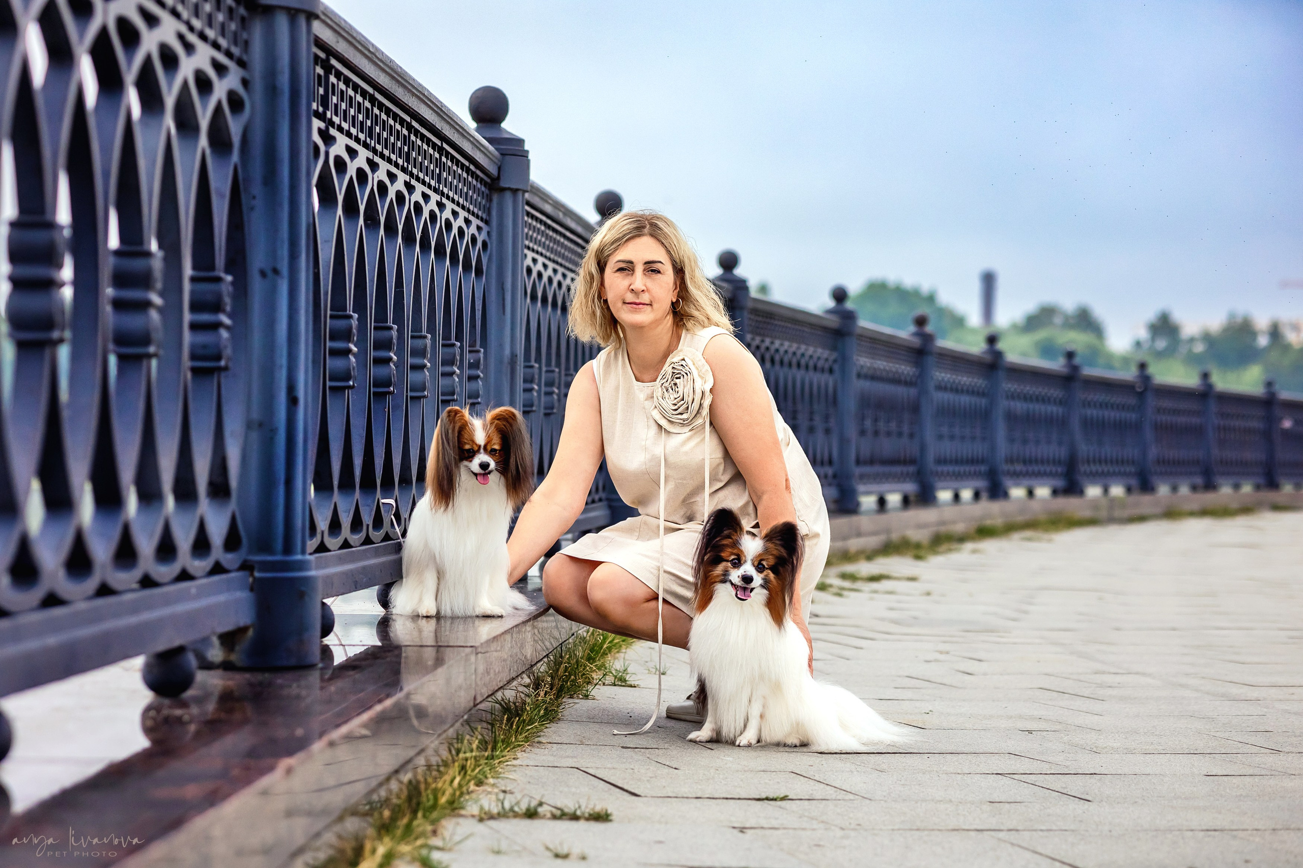 Елена и папийоны. Фотограф анималист Аня Ливанова | Рыбинск