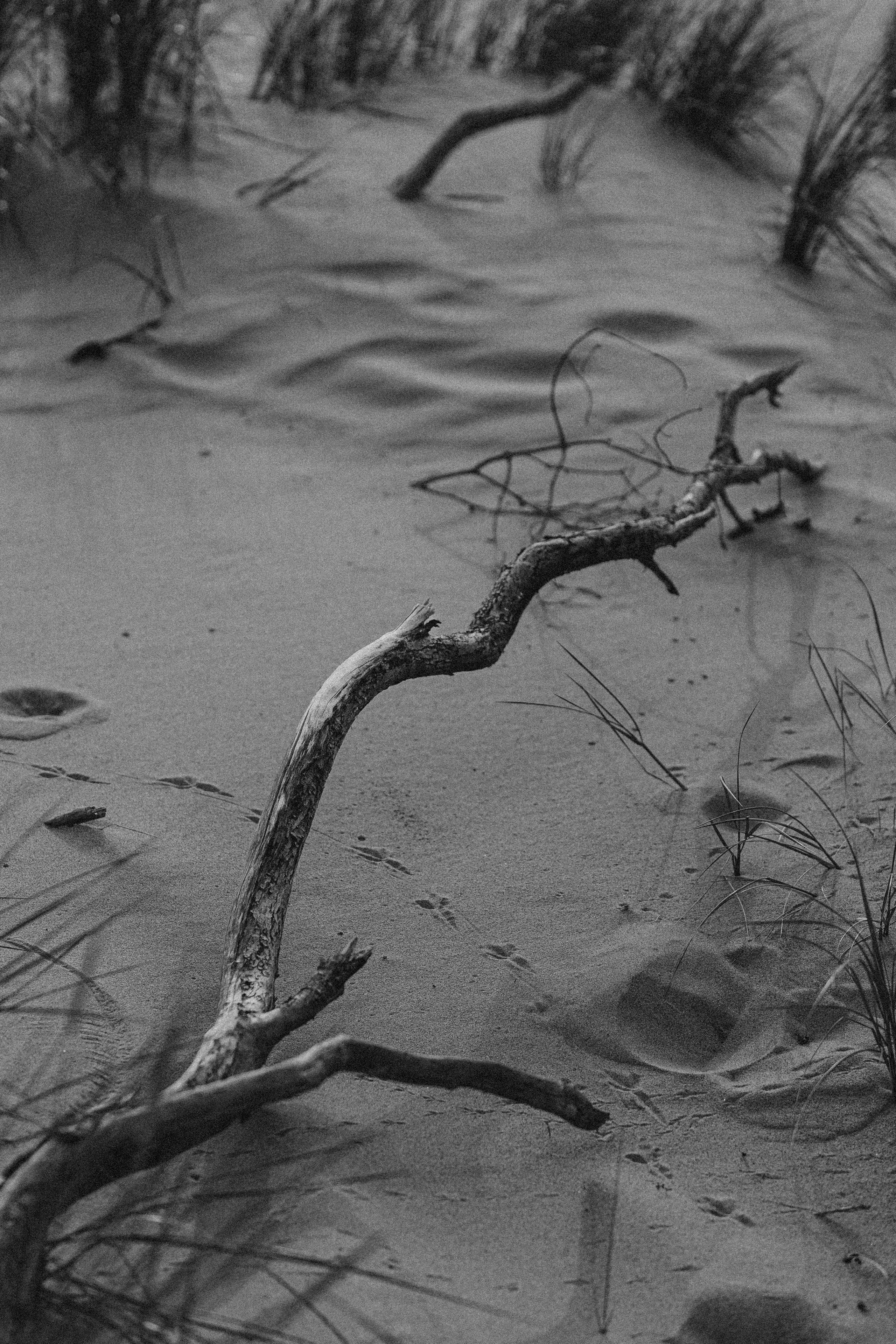V&N. Свадебный и портретный фотограф в Калининграде и Москве Марк Юдинцев