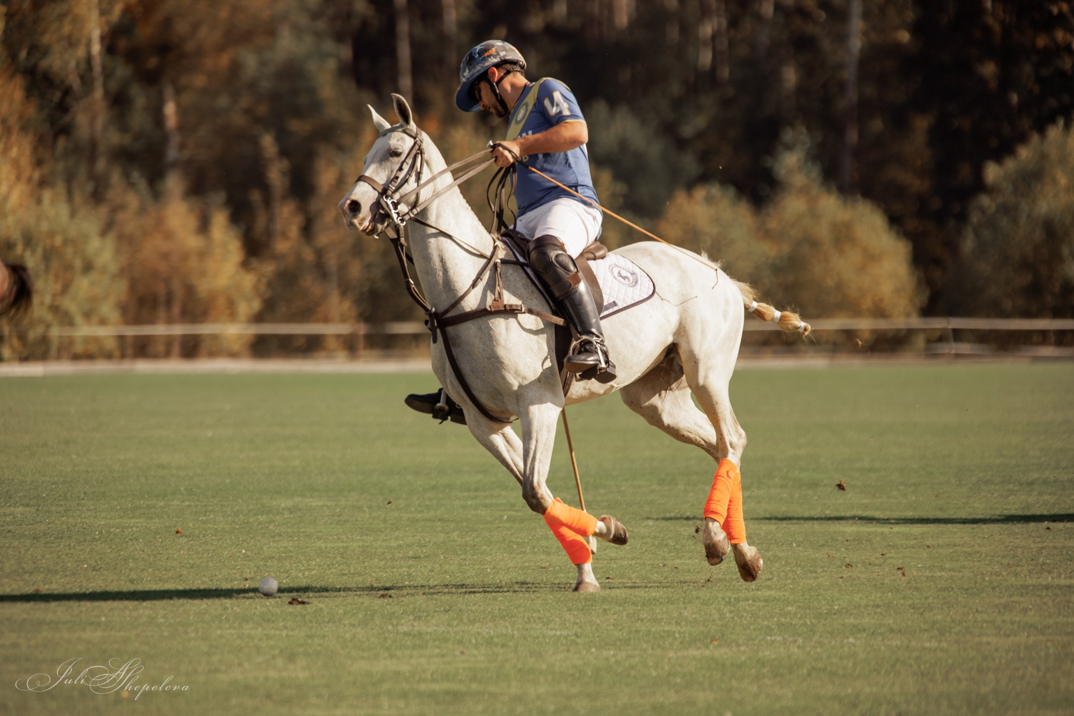 Осенний кубок по конному поло. Детская Конная фотография в Москве Юлия Шепелева