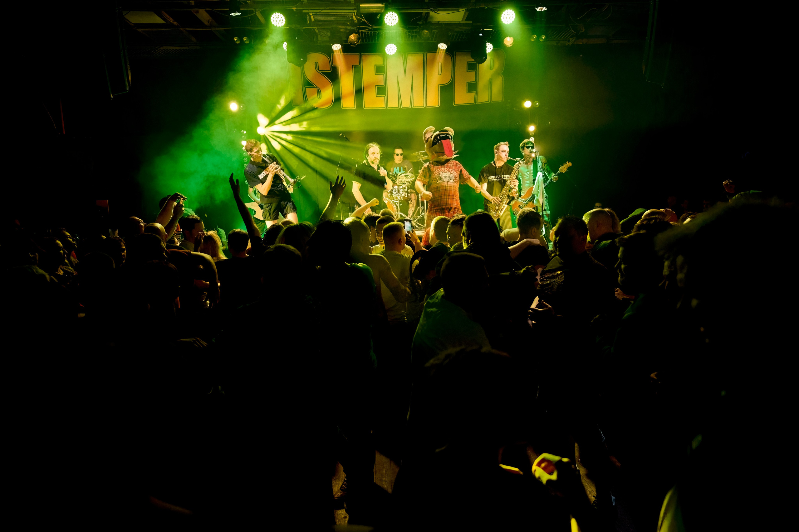 DISTEMPER / AGLOMERAT / 24.11.2023. Ekhovanov | фото- видеосъемка