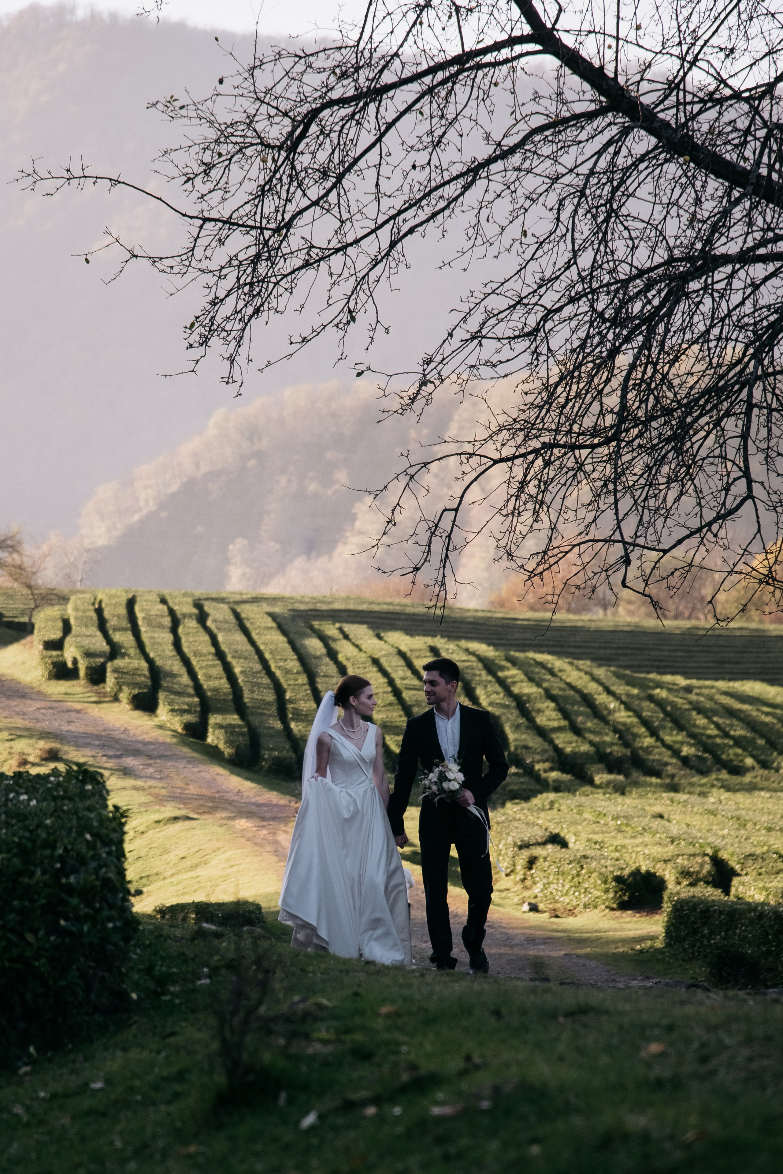 Чайные плантации Сочи. Свадебный и семейный фотограф Темрюк Алёна Ковальская