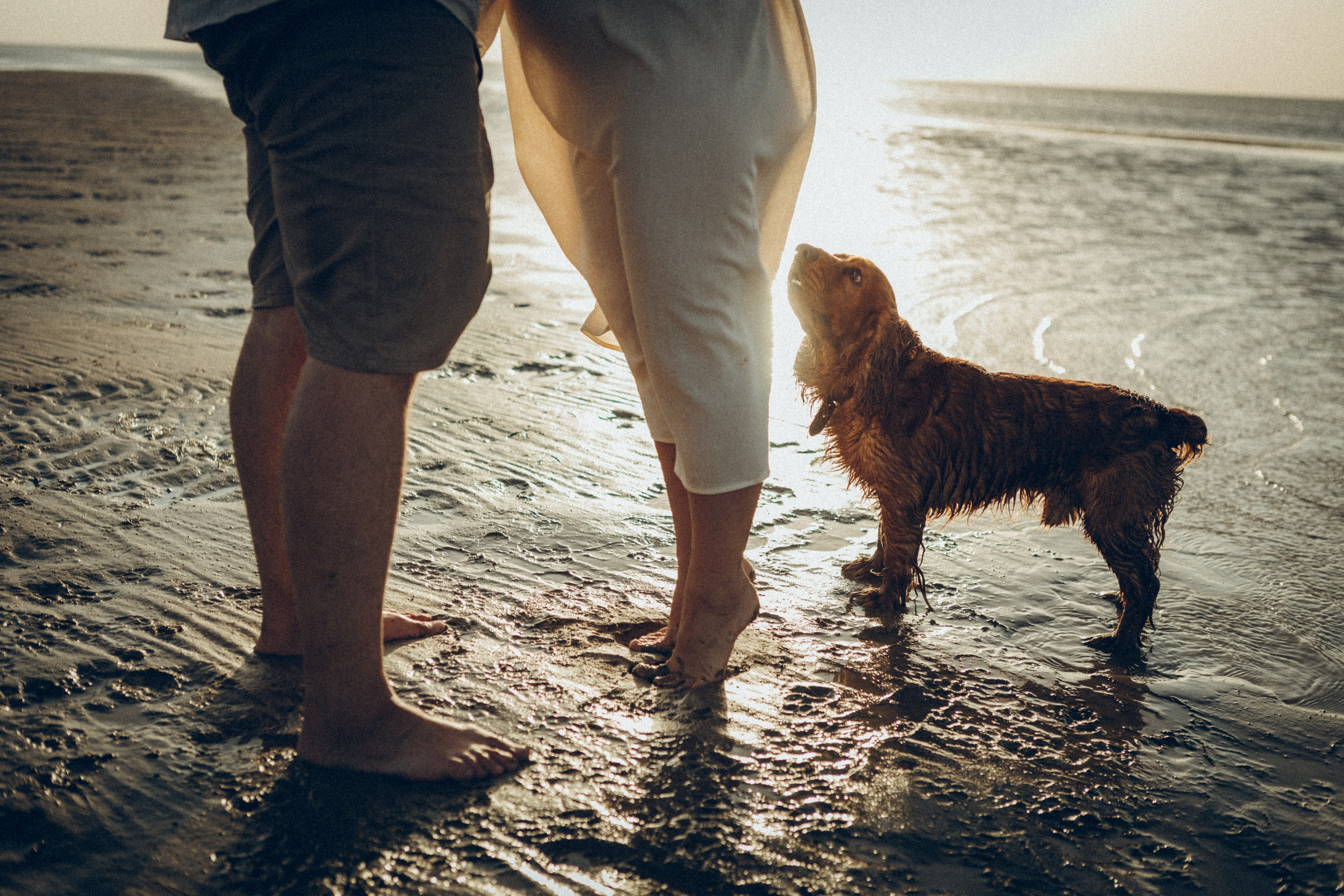 Family moment 💫. Семейный фотограф и фотограф на роды в Ростове-на-Дону Мухина Виктория