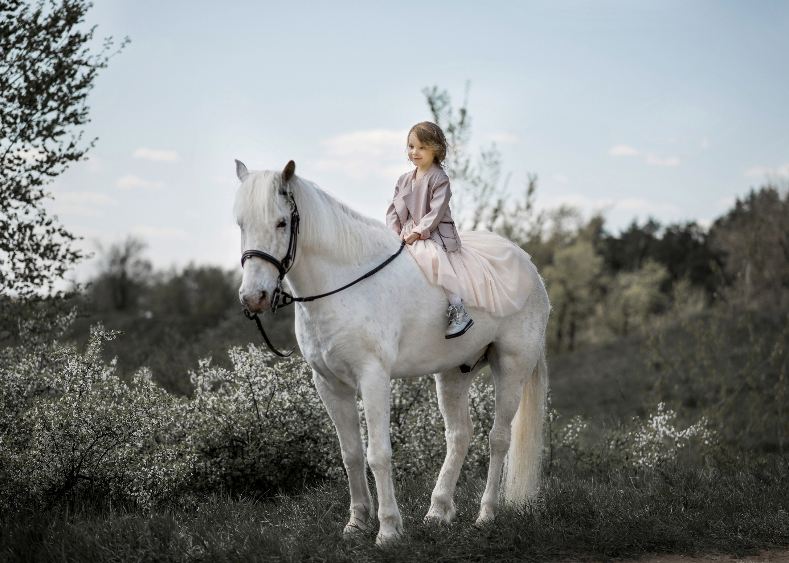 Семейная съемочка с Чингизом. Конный фотограф в Саратове Юлия Иванова