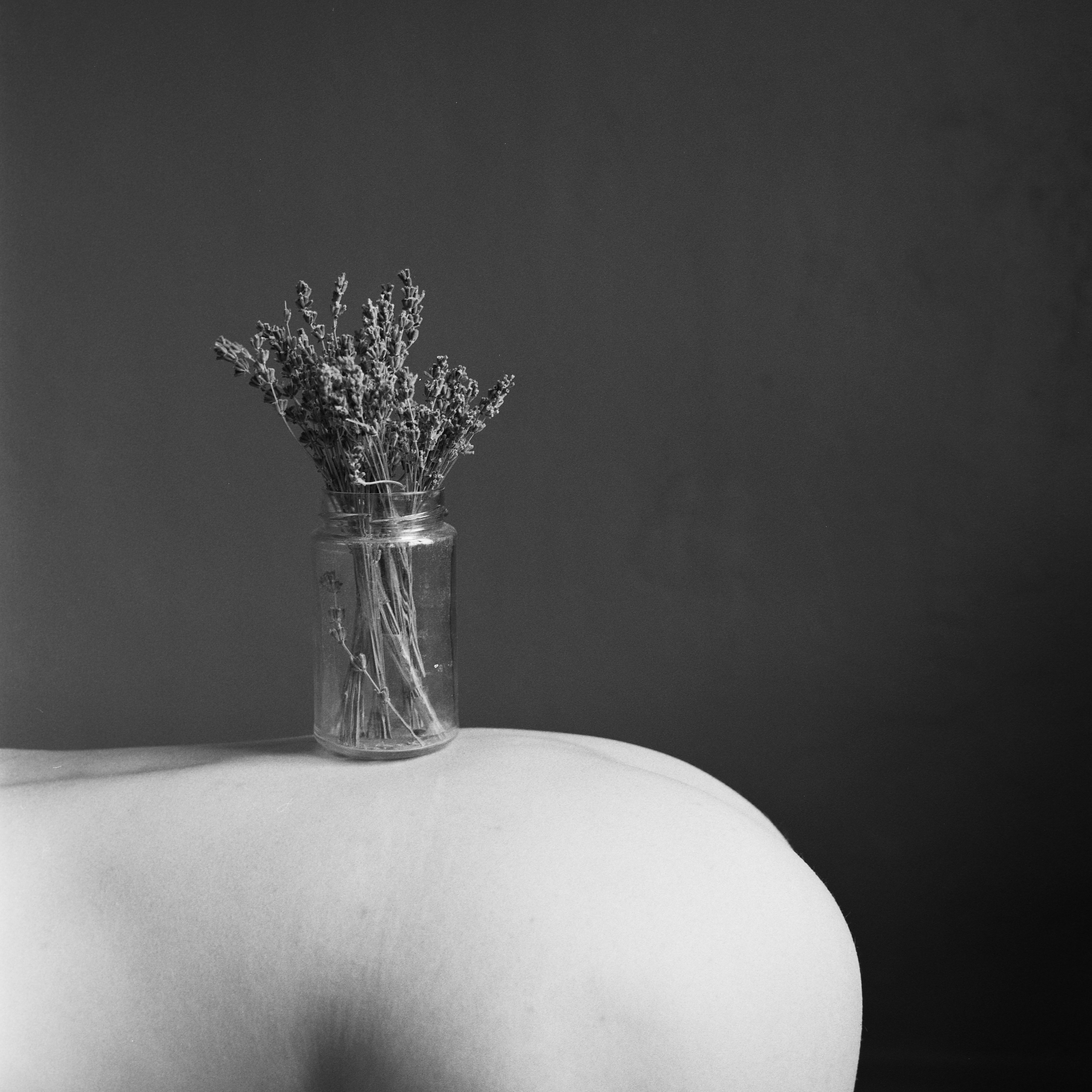 Misha. Polina Soyref, portrait photographer