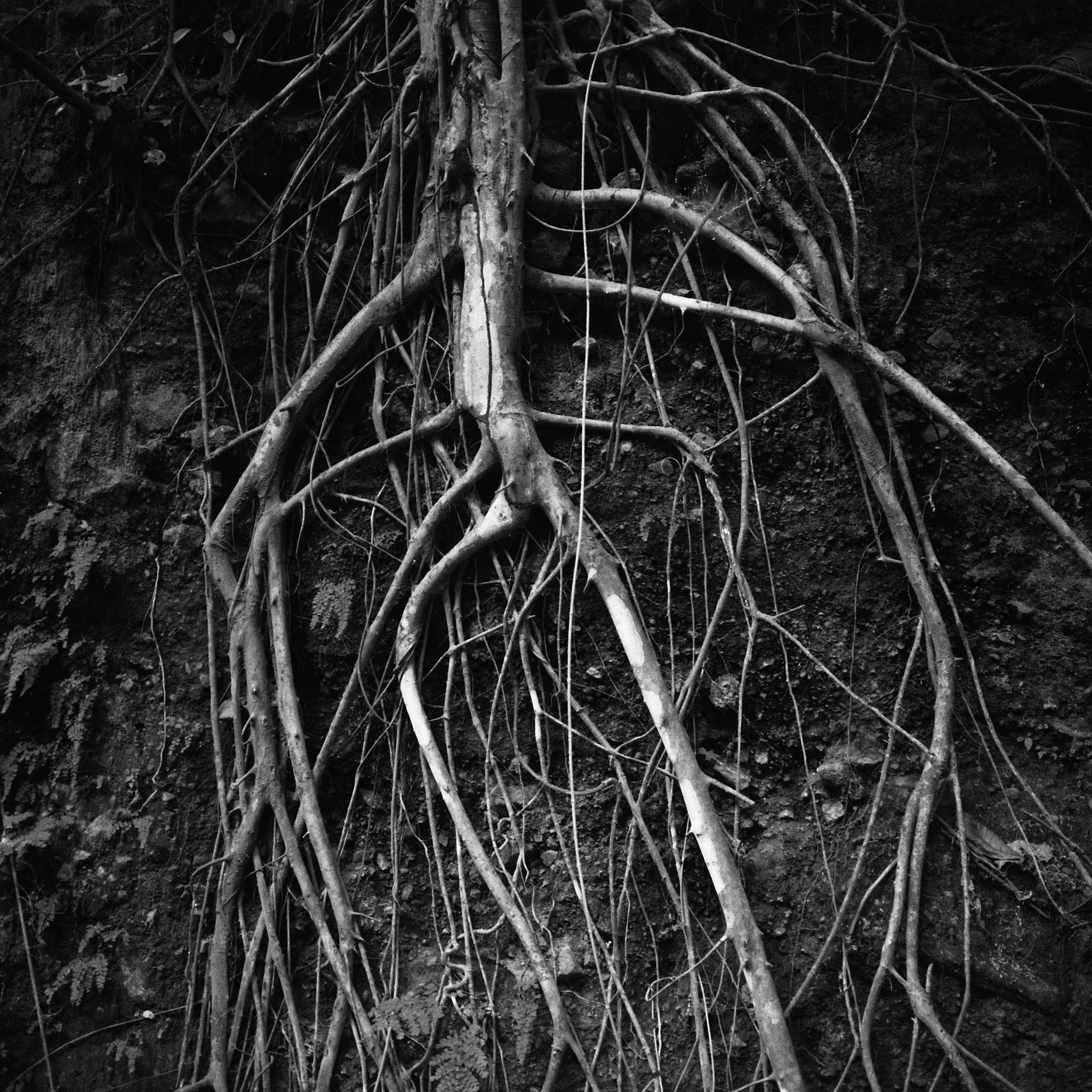 Полина Сойреф, портретный и документальный фотограф