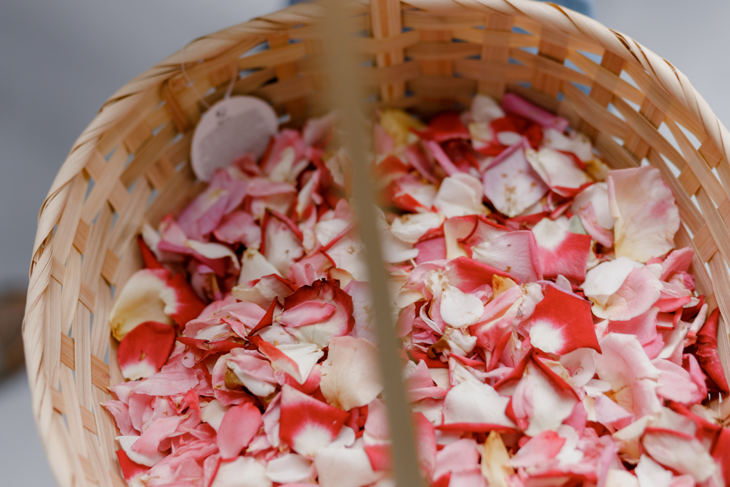 Анна и Павел. Свадебный фотограф Павел Щекин