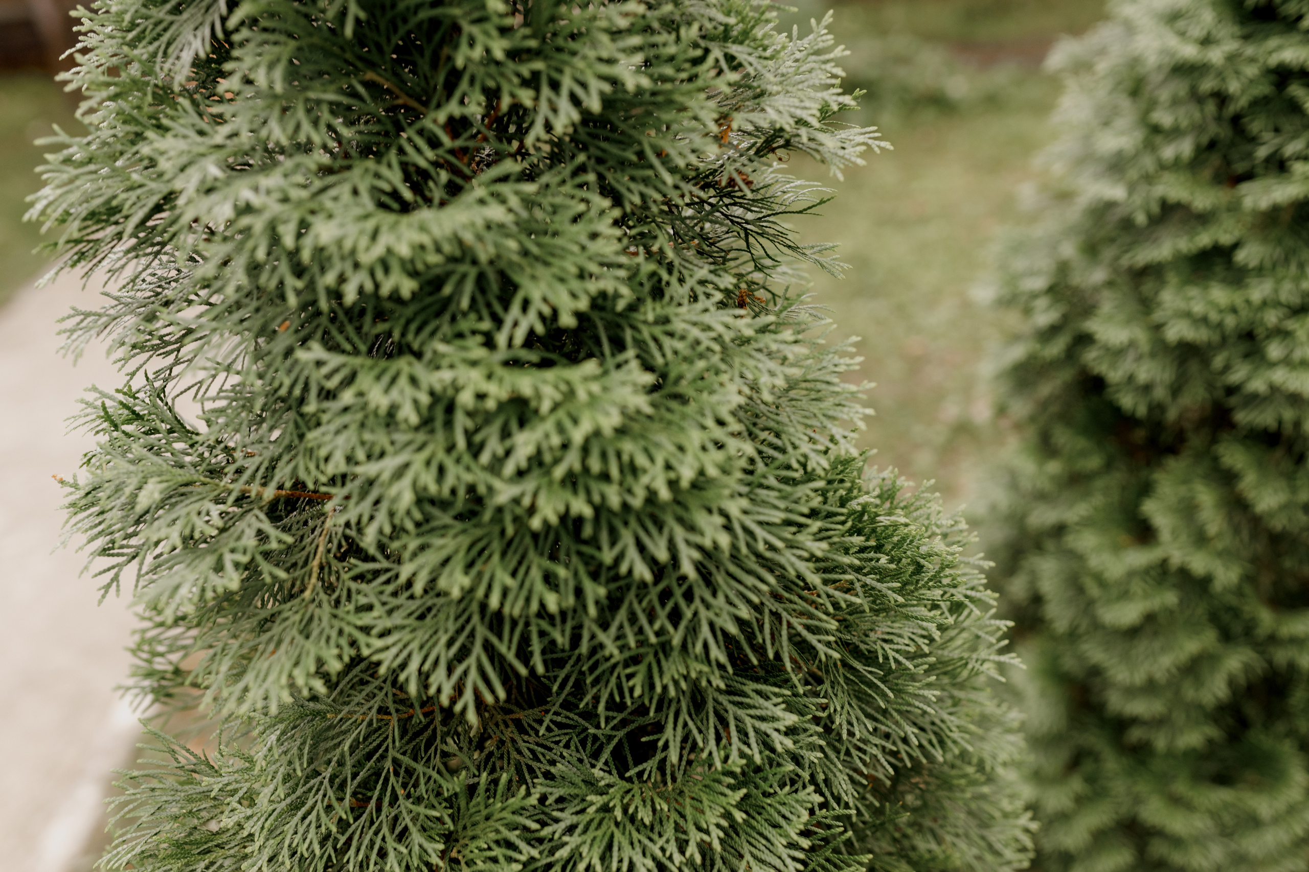 Анна и Павел. Свадебный фотограф Павел Щекин