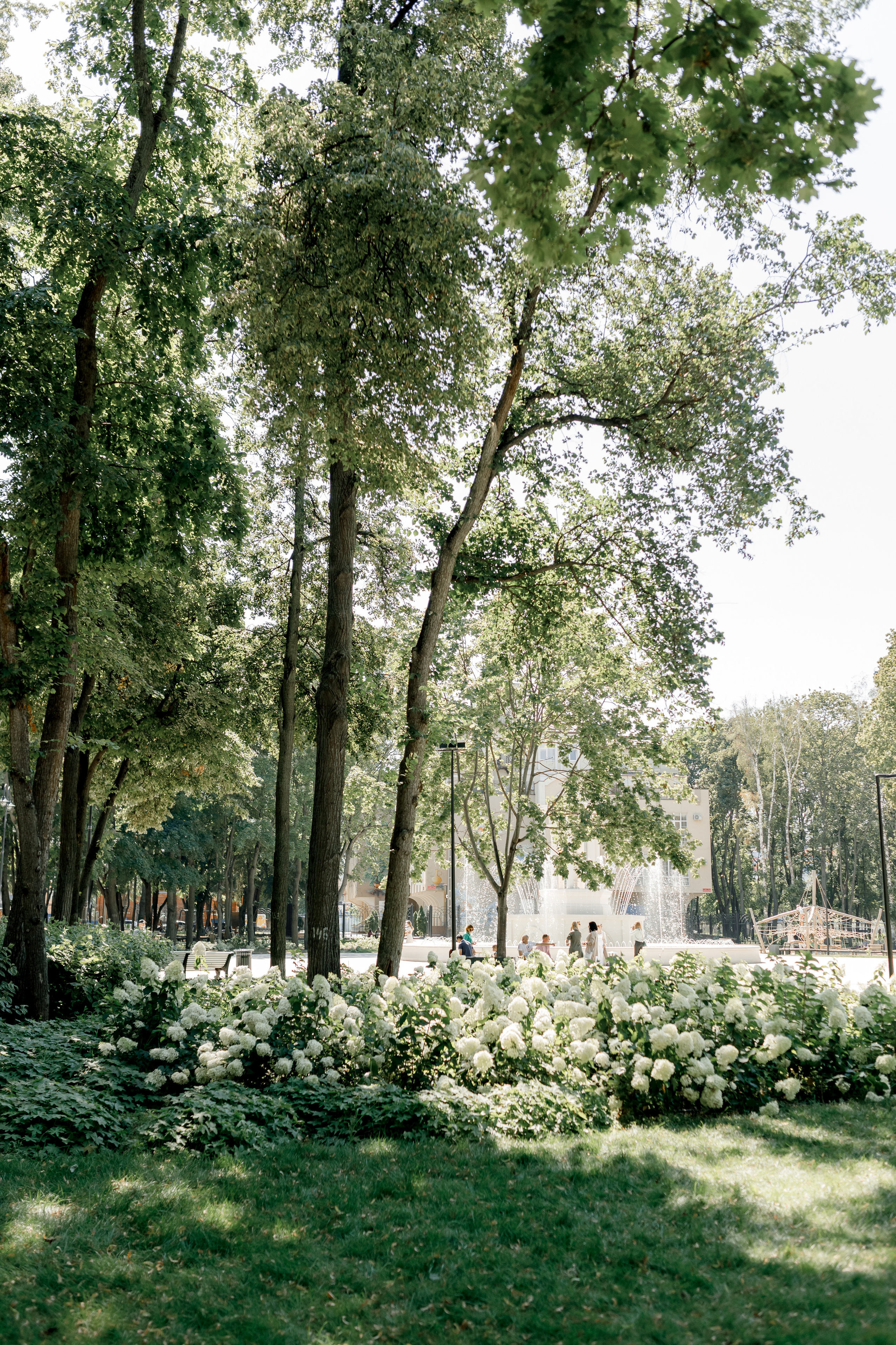 Олеся и Саша. Свадебный фотограф Павел Щекин