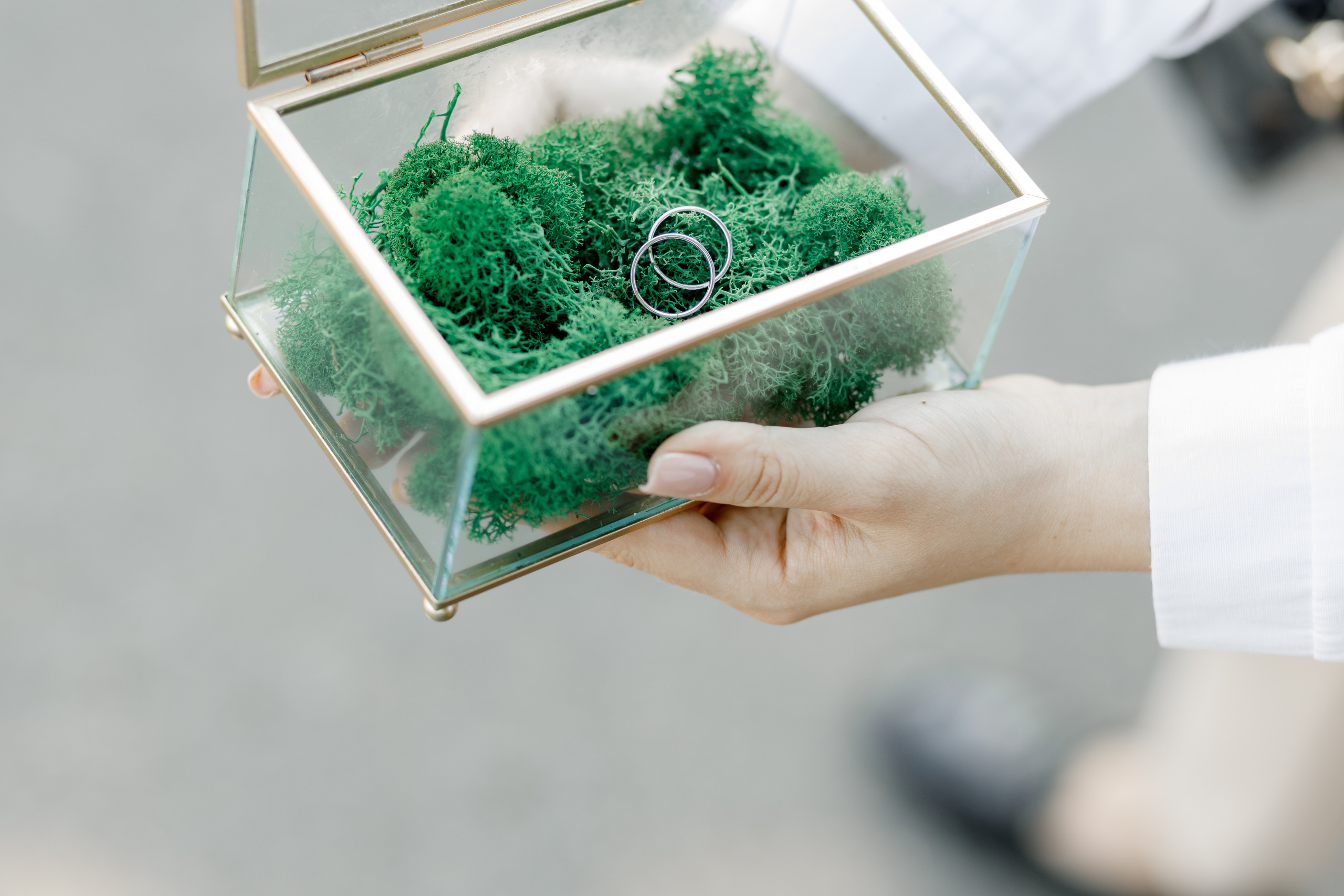 Олеся и Саша. Свадебный фотограф Павел Щекин