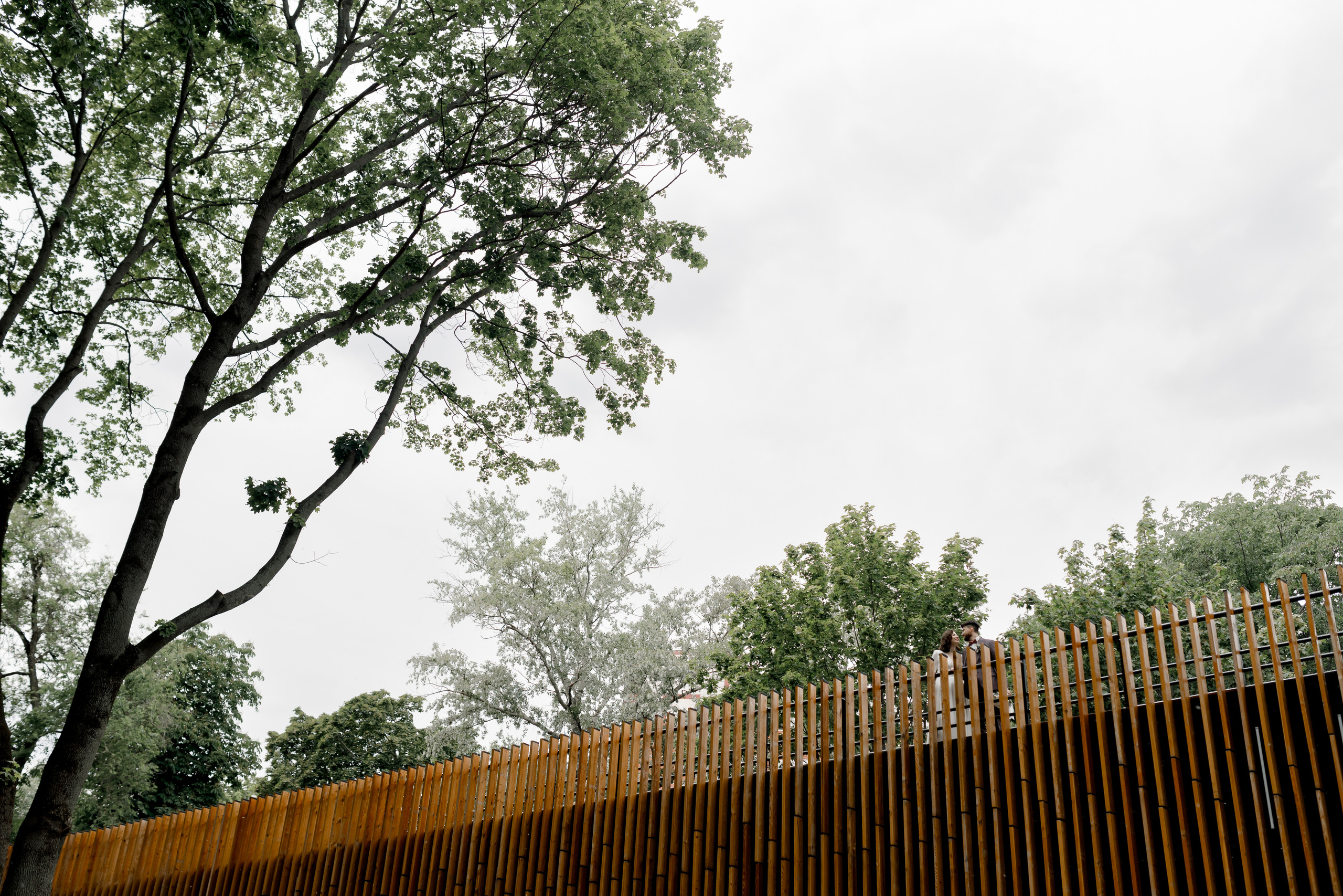 Нина и Никита. Свадебный фотограф Павел Щекин