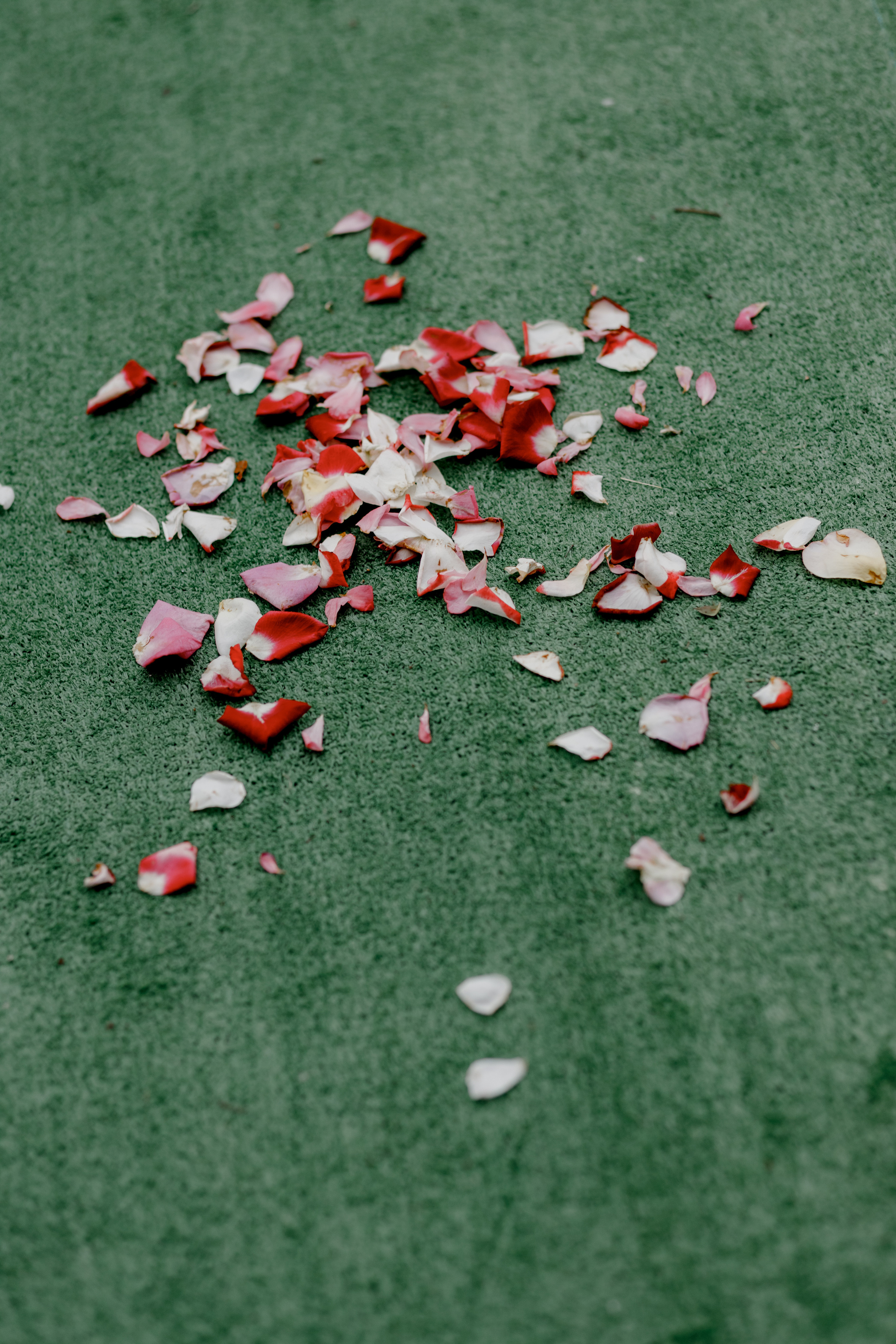 Анна и Павел. Свадебный фотограф Павел Щекин