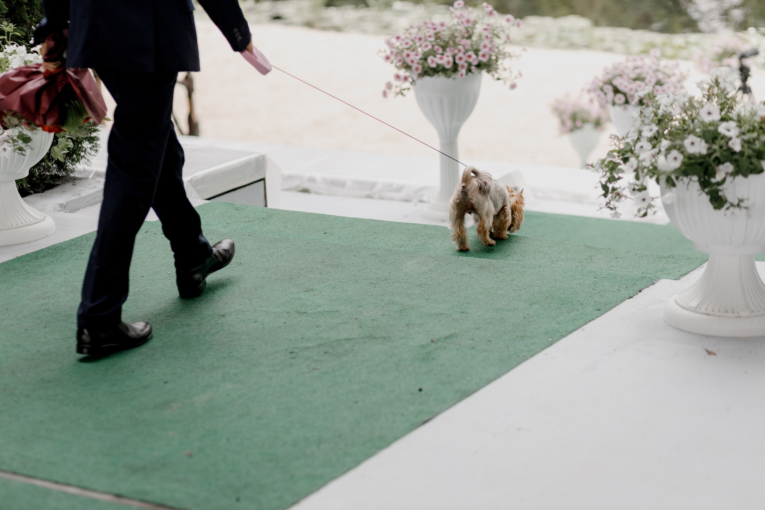 Анна и Павел. Свадебный фотограф Павел Щекин