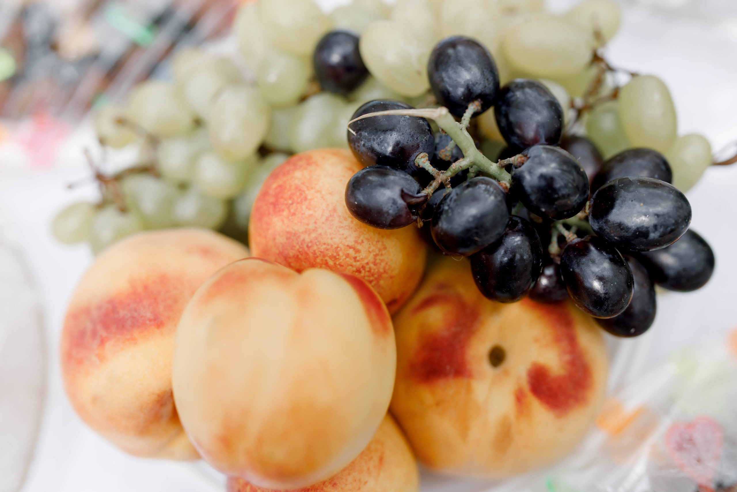 Лесная сказка. Свадебный фотограф Павел Щекин