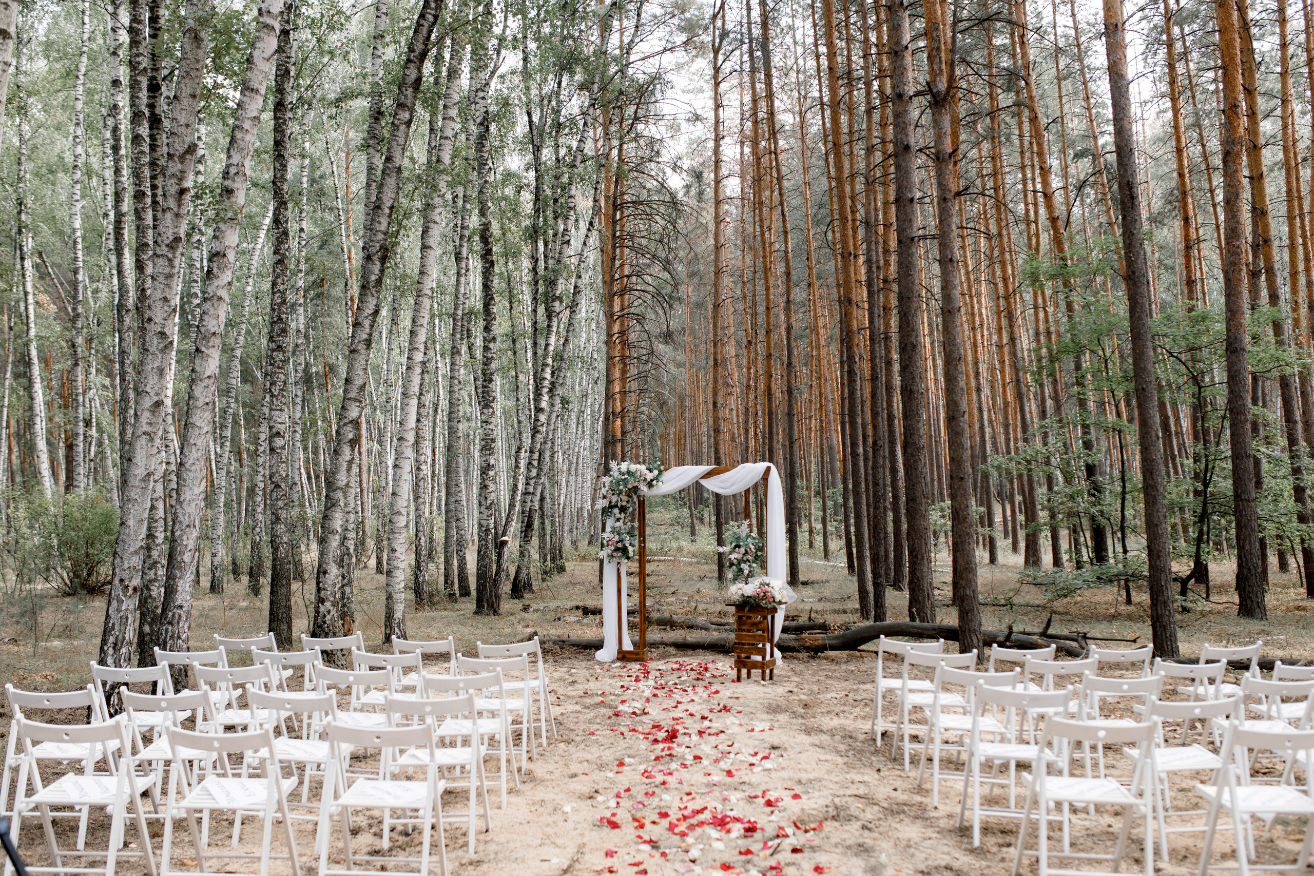Лесная сказка. Свадебный фотограф Павел Щекин